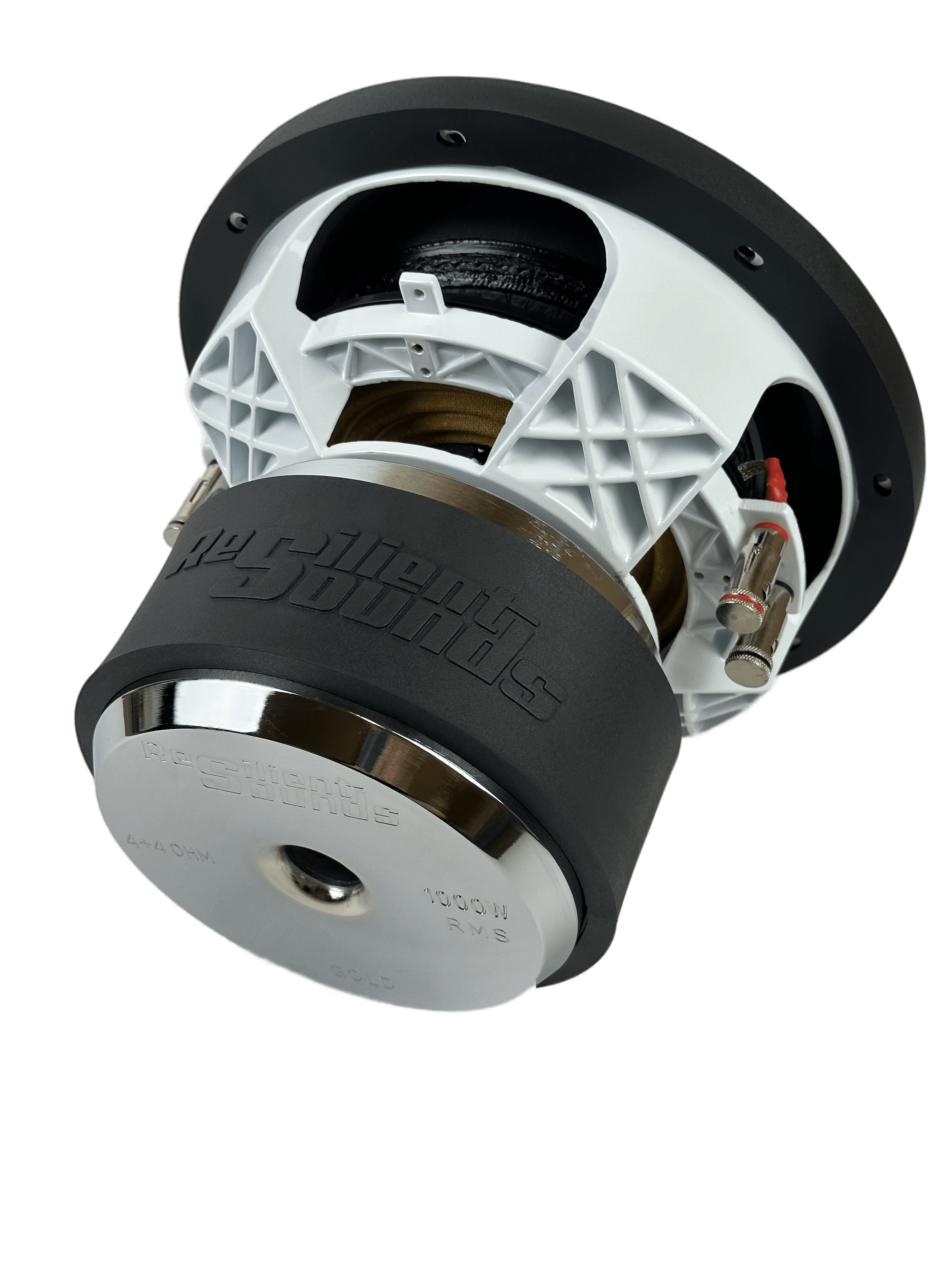 Resilient Sounds Gold 10" Subwoofer 1,000W RMS — image 7