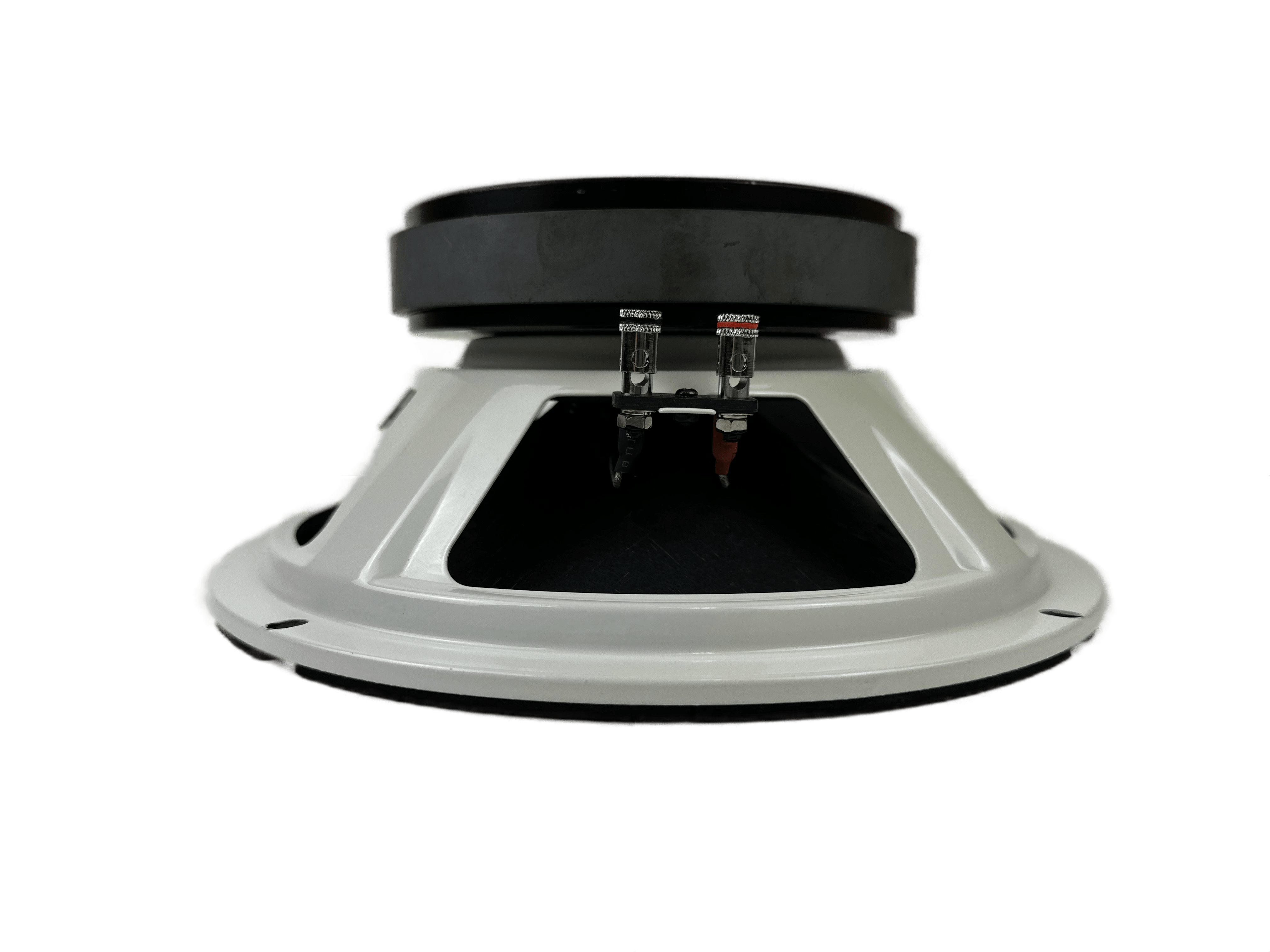 Resilient Sounds 10M Speaker 600W Max / 600W RMS — image 2