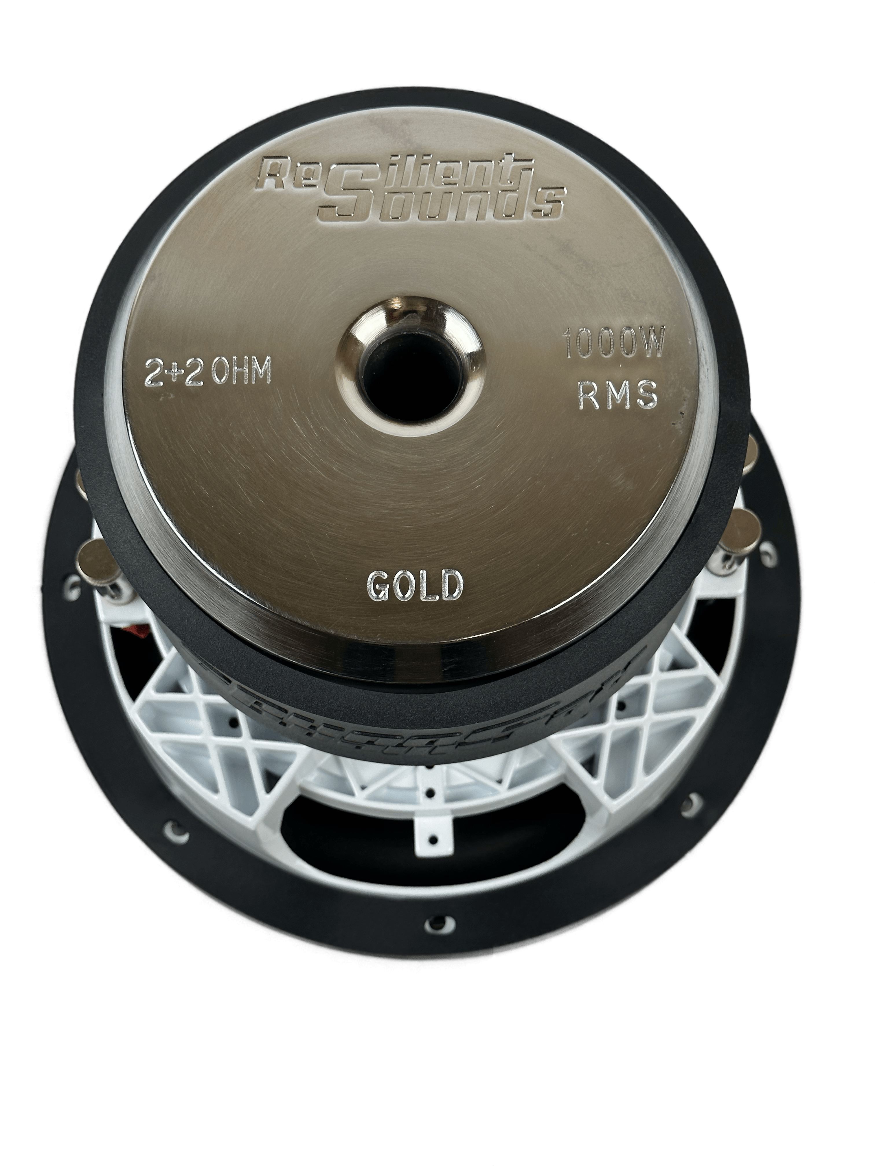 Resilient Sounds Gold 10" Subwoofer 1,000W RMS — image 10