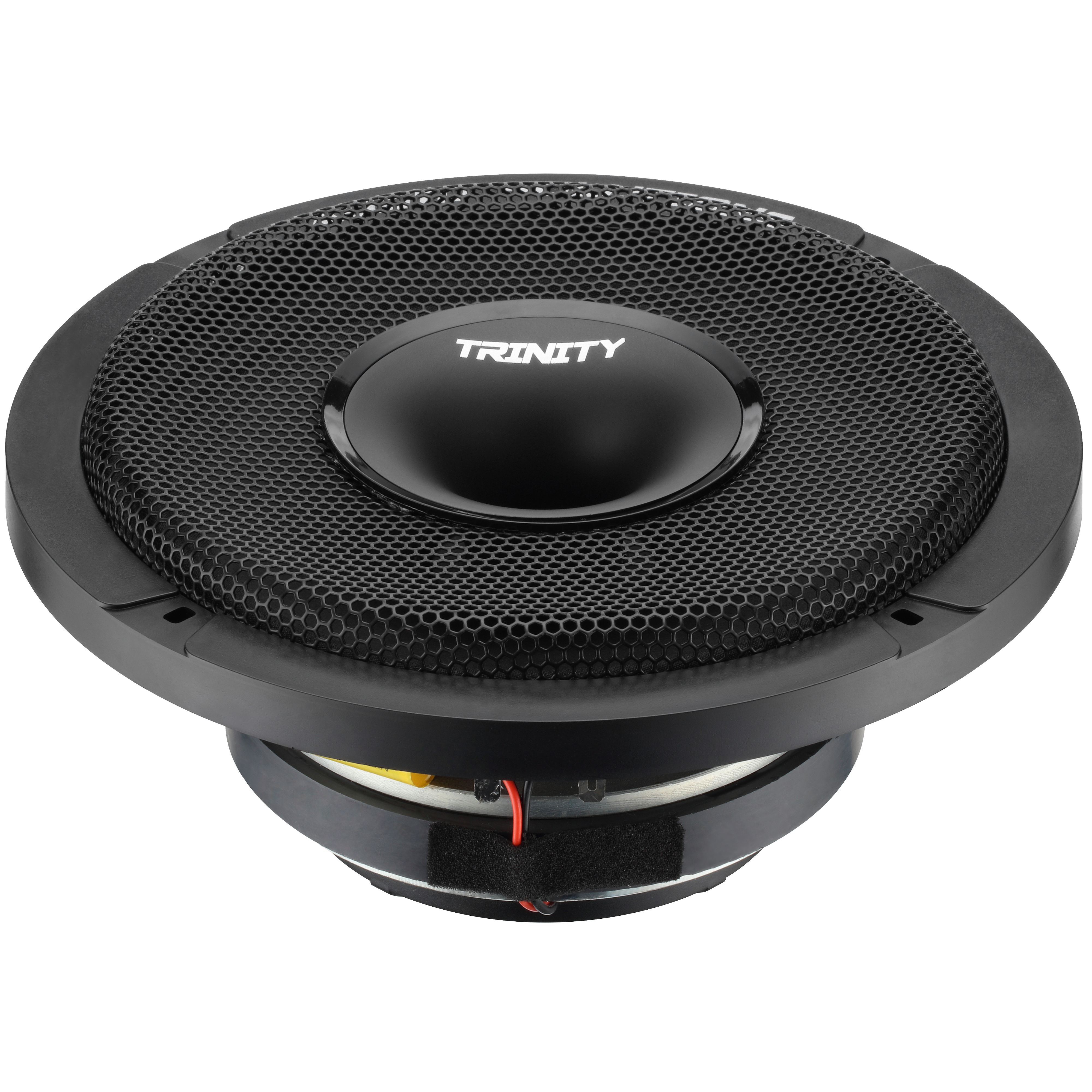 Trinity Audio Solutions CS84 8" Horn-Driven Pro Audio Coaxial Loudspeaker