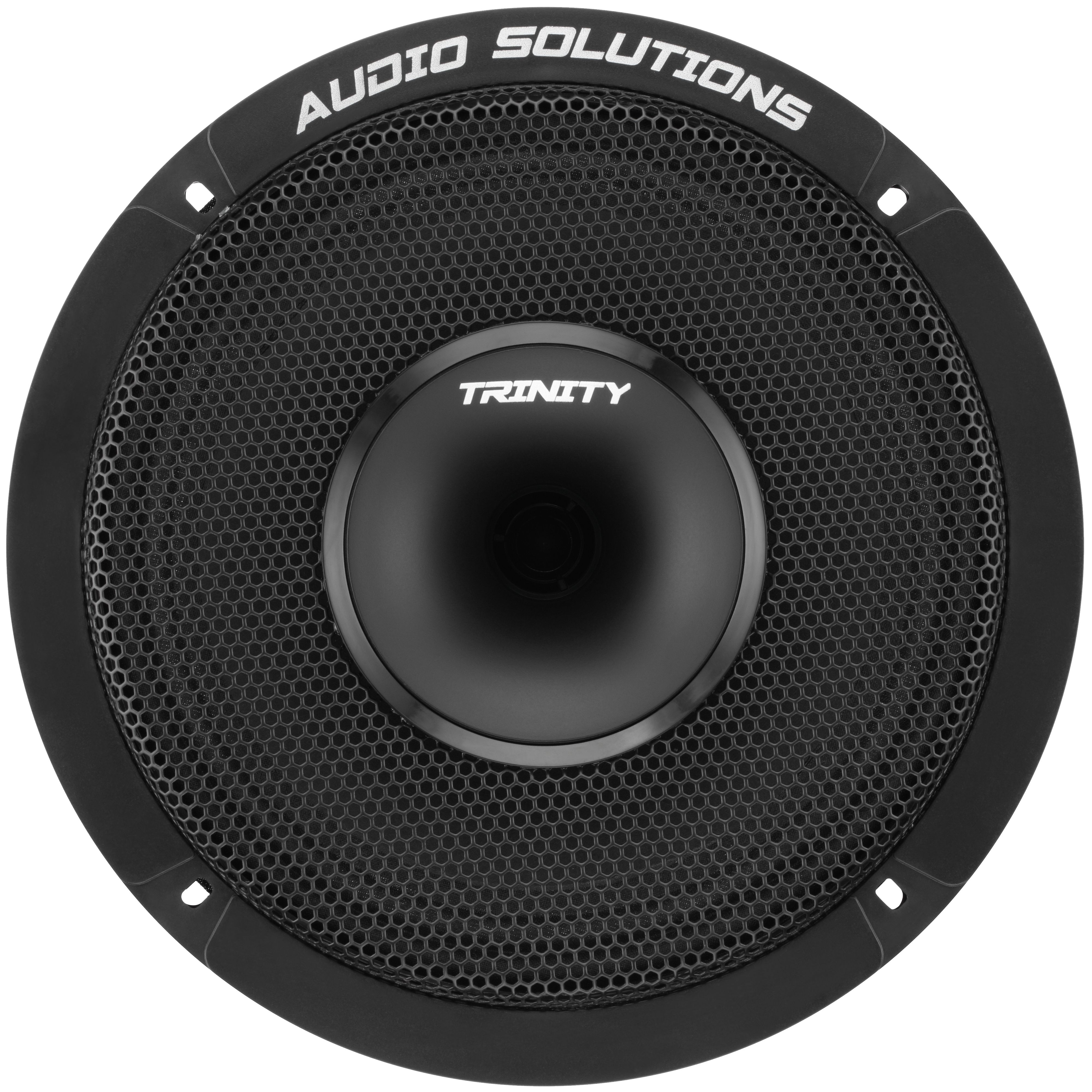 Trinity Audio Solutions CS84 8" Horn-Driven Pro Audio Coaxial Loudspeaker