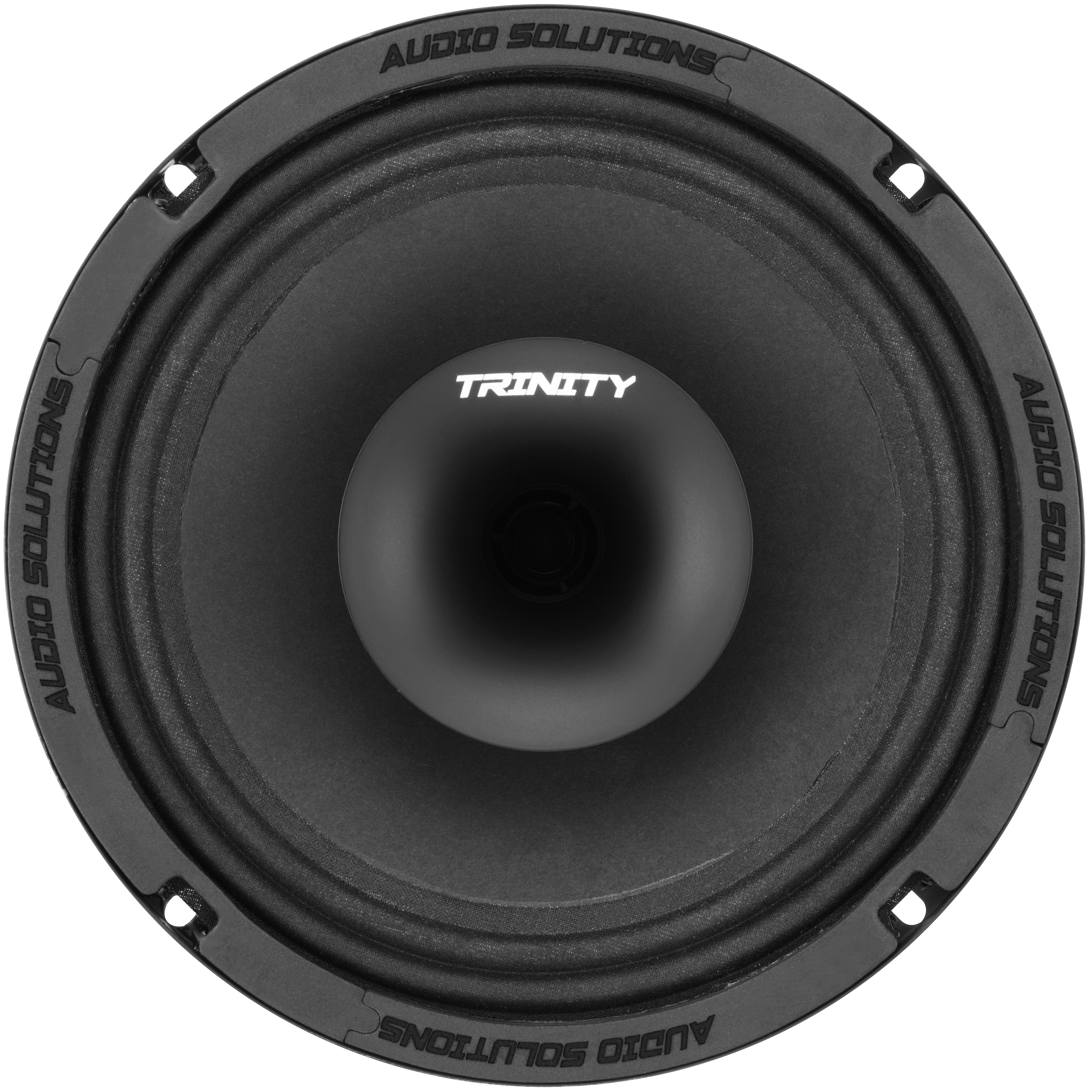 Trinity Audio Solutions CS84 8" Horn-Driven Pro Audio Coaxial Loudspeaker