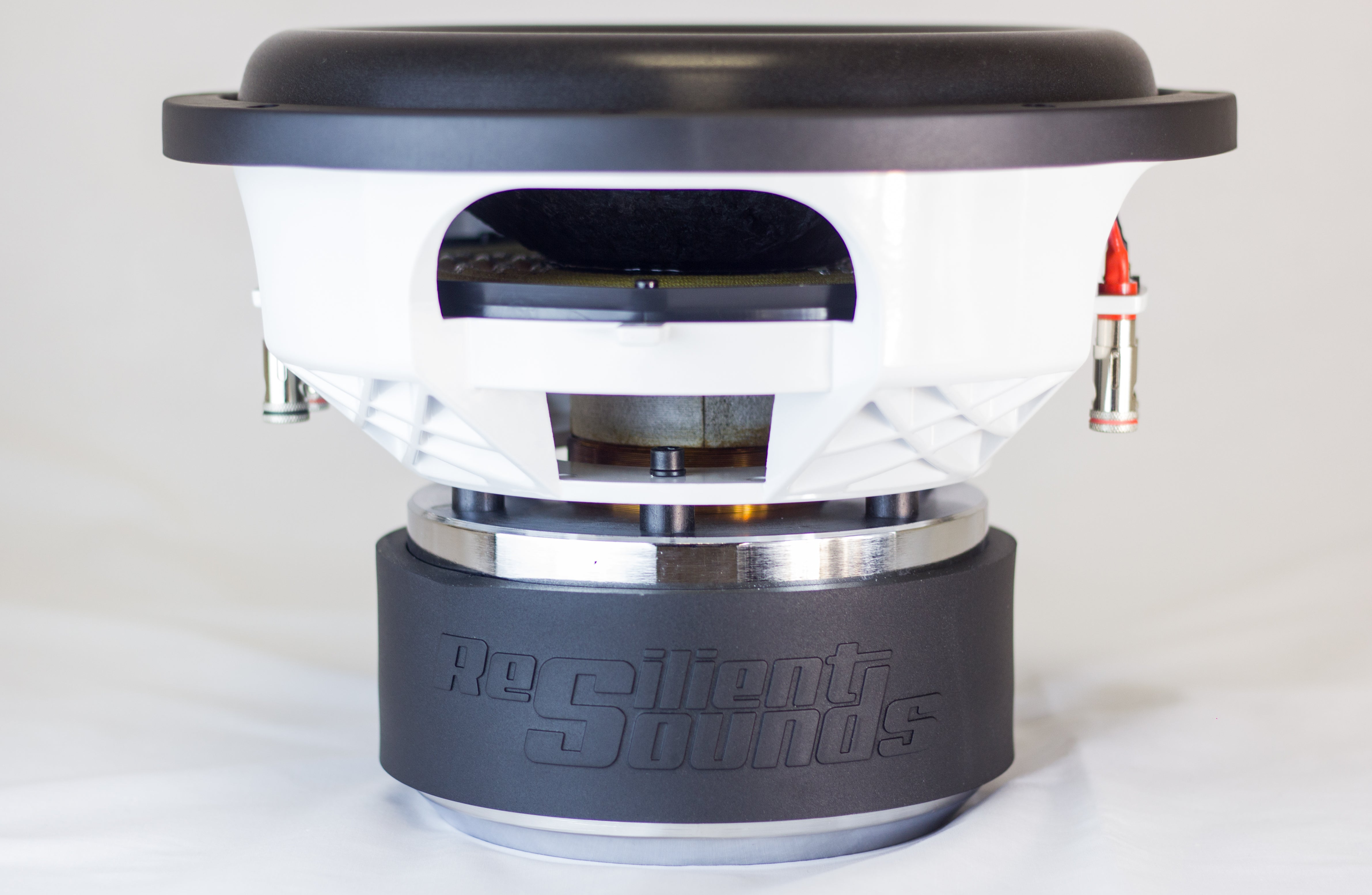 Resilient Sounds Gold 12" Subwoofer 1,000W RMS — image 3