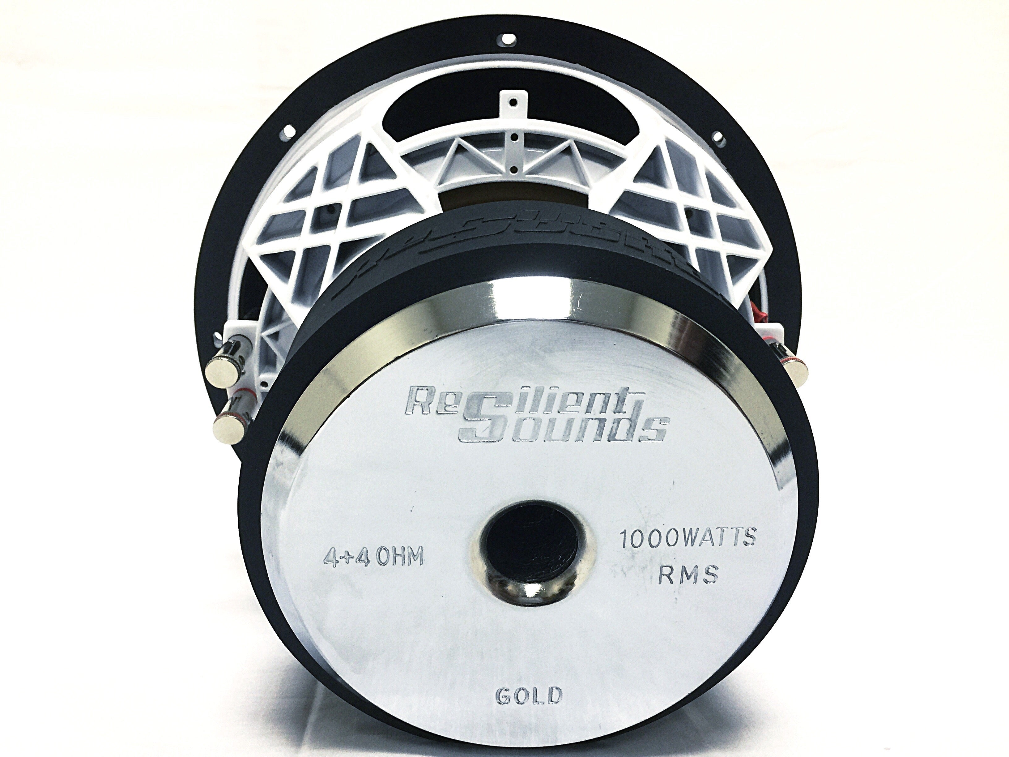 Resilient Sounds Gold 12" Subwoofer 1,000W RMS — image 2