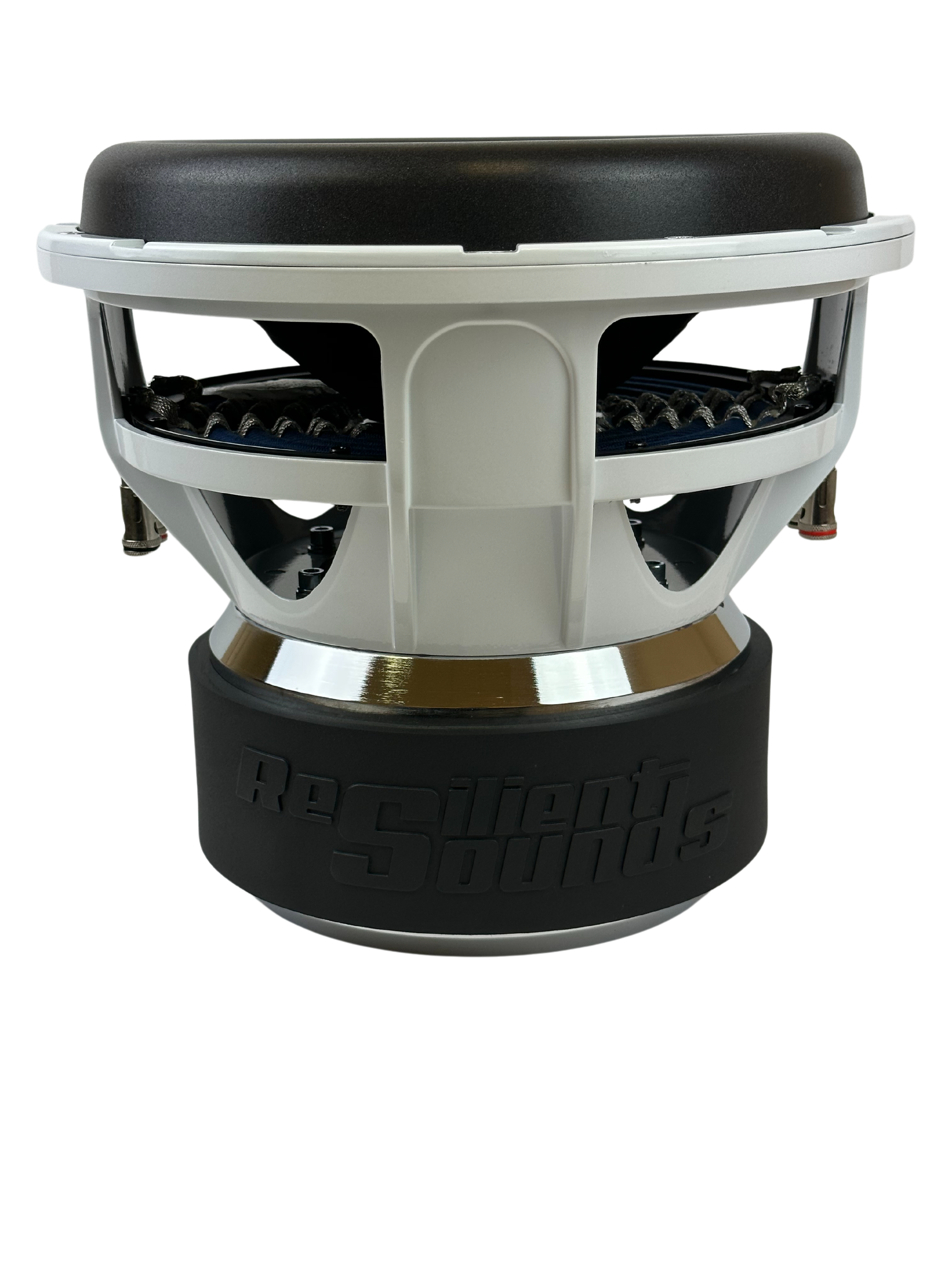 Resilient Sounds Gold 12 V2 Subwoofer 1,500W RMS — image 5