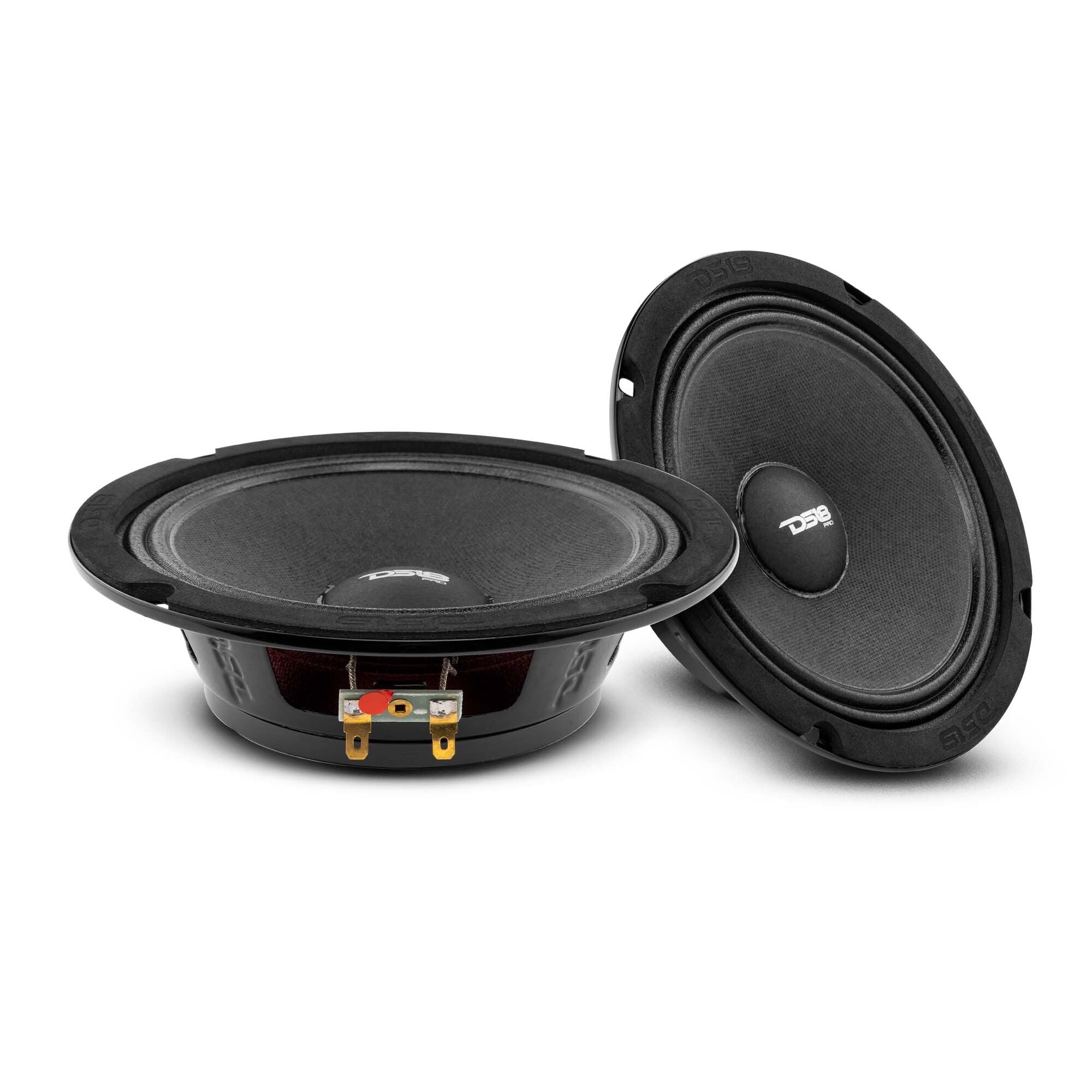 DS18 Stage1 Pro Audio Neo Midrange Package