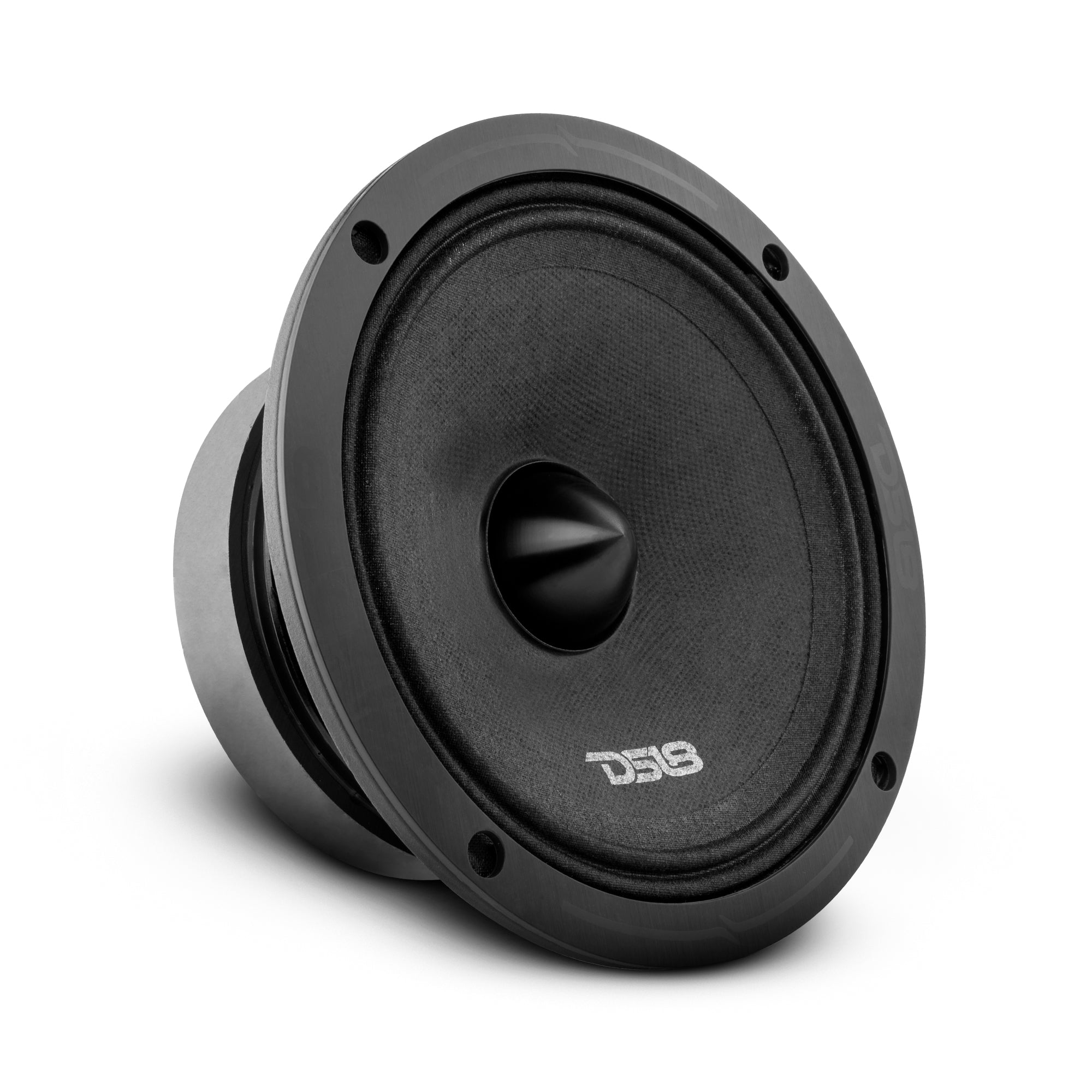 DS18 Stage3 Pro Audio Midrange Package