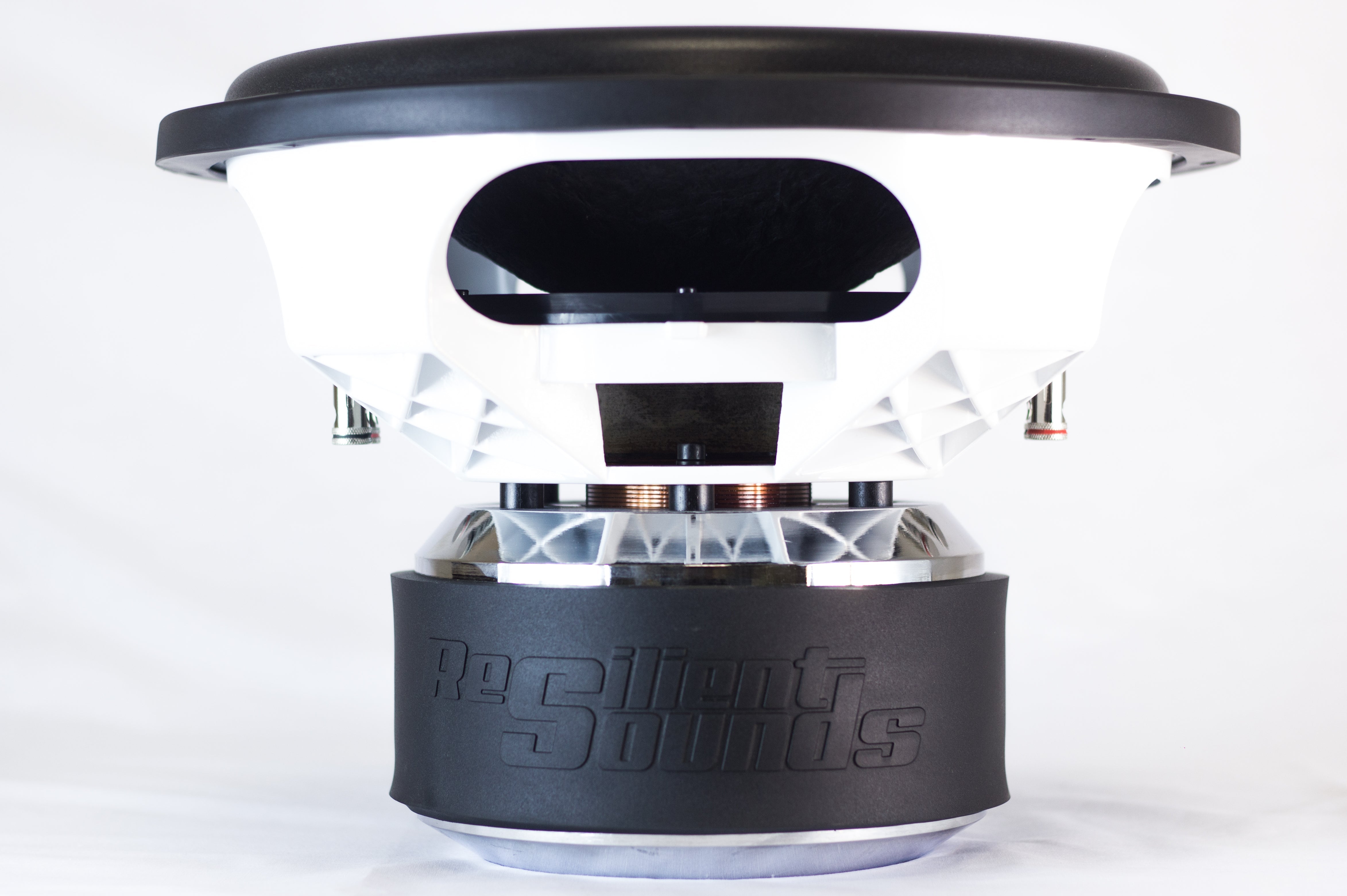 Resilient Sounds Platinum 15 Subwoofer 2,000W RMS — image 6
