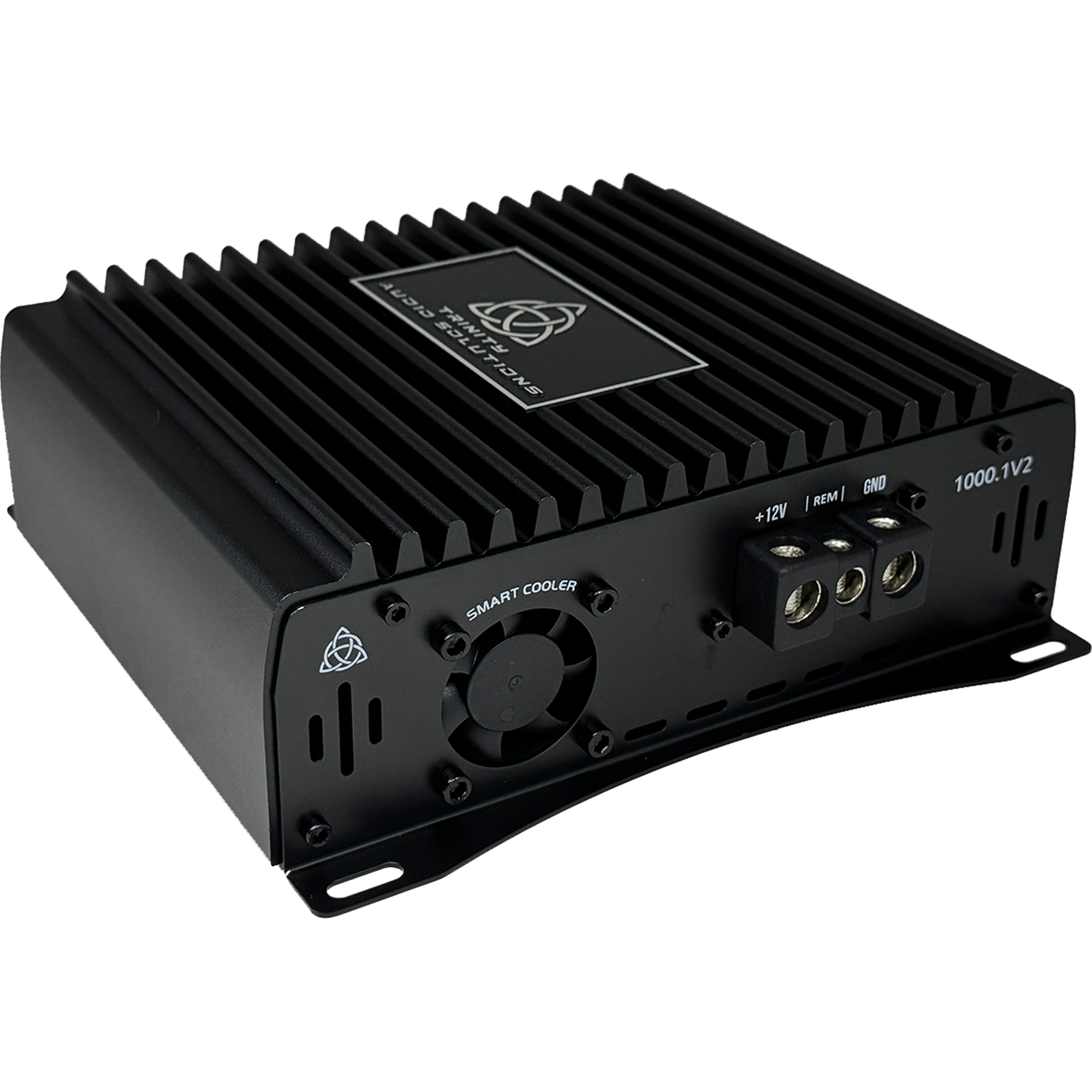 Trinity Audio Solutions 1000.1v2 Monoblock Amplifier — 1,000W Class D