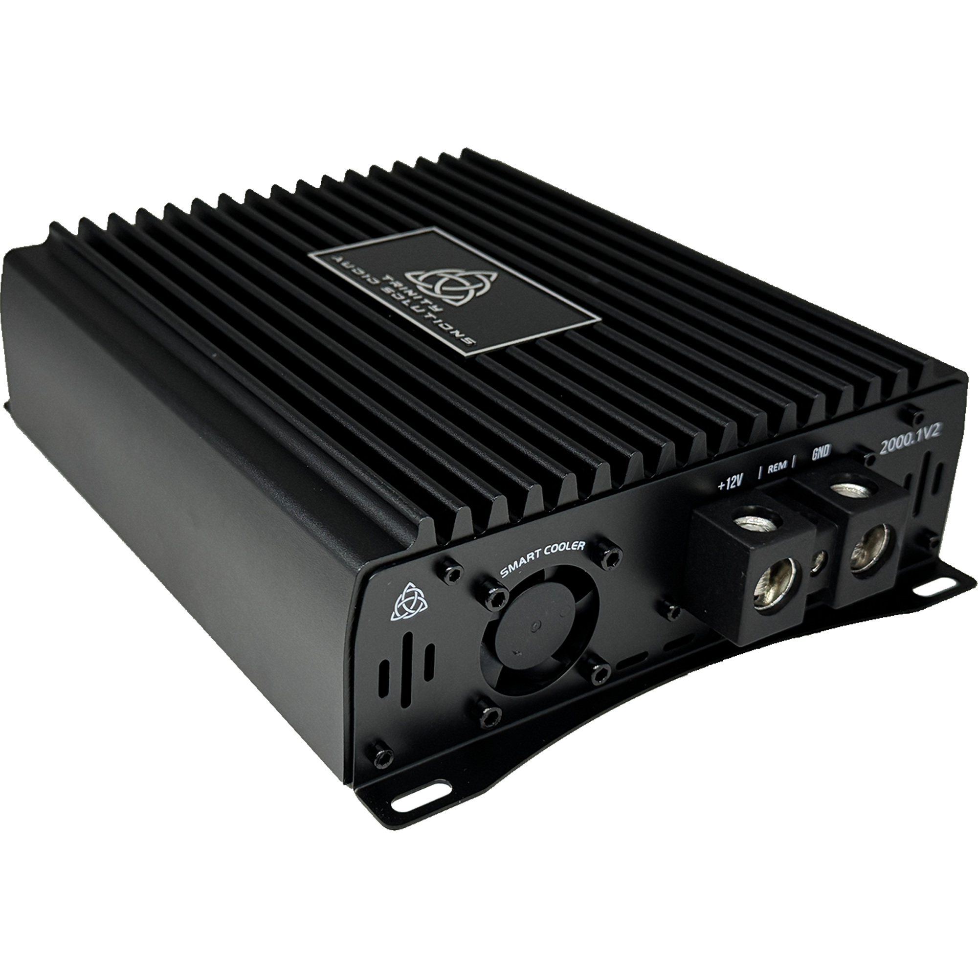Trinity Audio Solutions 2000.1v2 2,000W Class D Monoblock Amplifier
