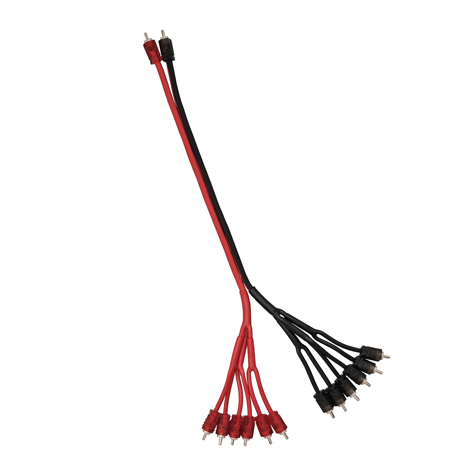 DS18 Level 2 RCA 100% Copper OFC Y Connector 2 MALE to 12 MALE 1.5 Feet - RED
