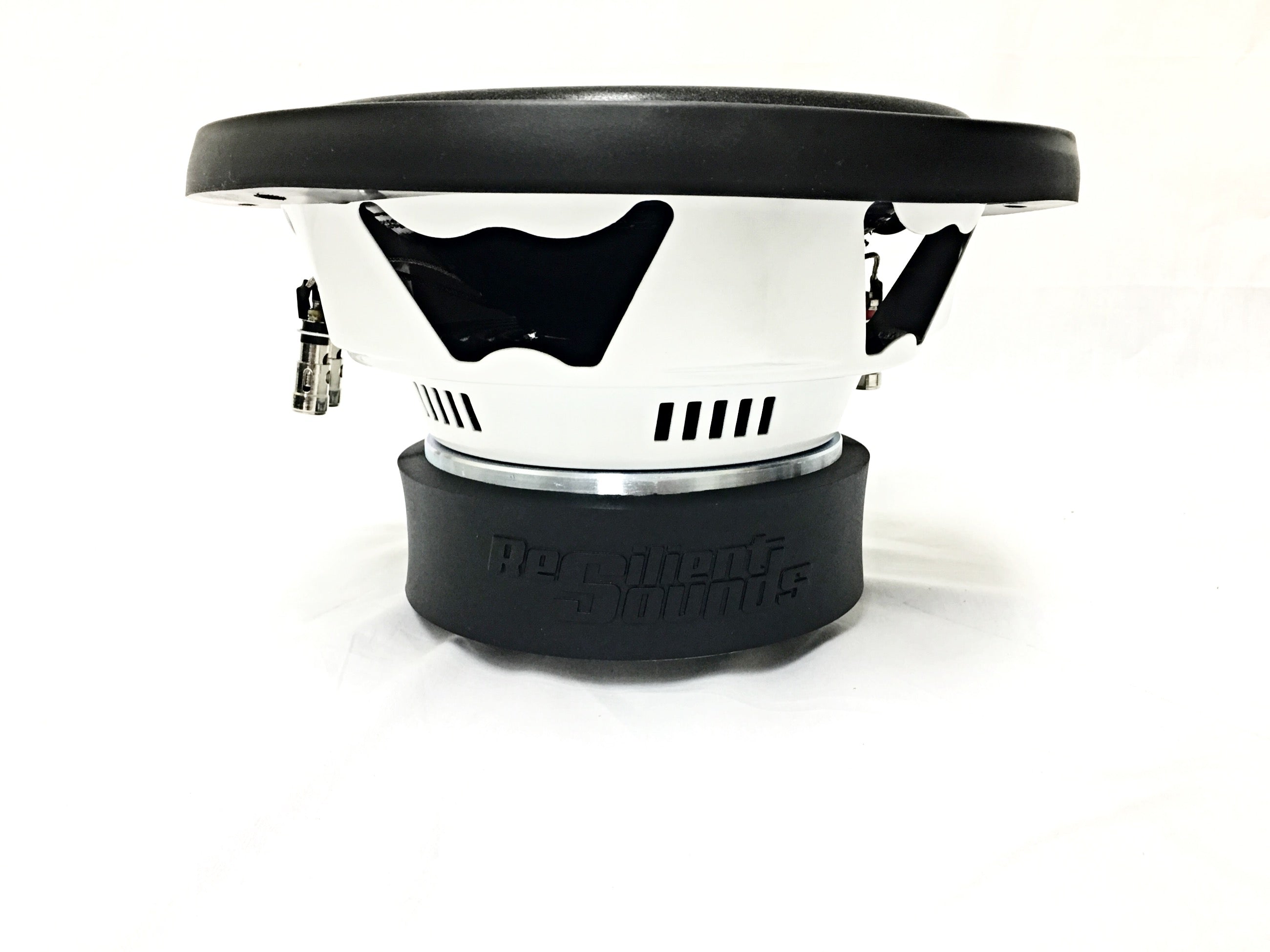 Resilient Sounds Entry 10" Subwoofer 500W RMS — image 2
