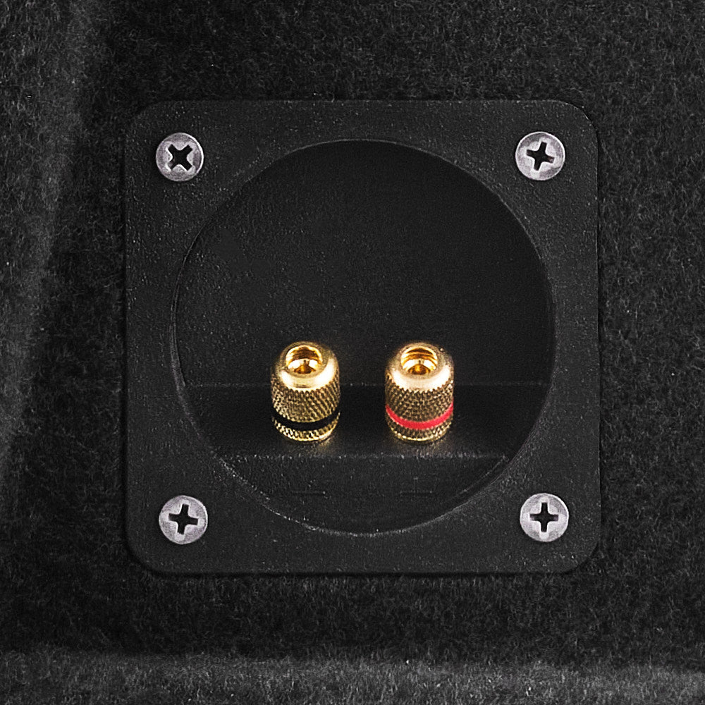 DS18 12" Loaded Shallow Subwoofer Enclosure 350 Watts Rms @ 2 ohm