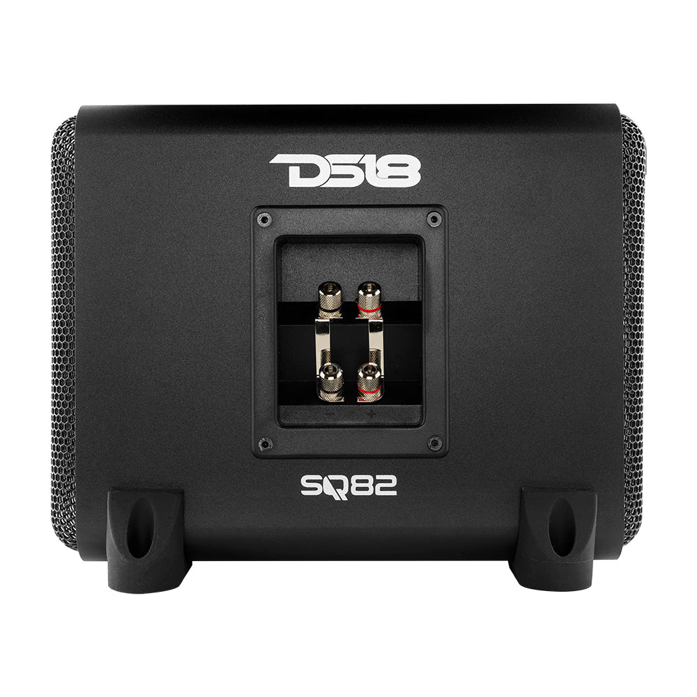 DS18 Dual 8" Loaded High End Aluminum Subwoofer Enclosure 300 Watts Rms
