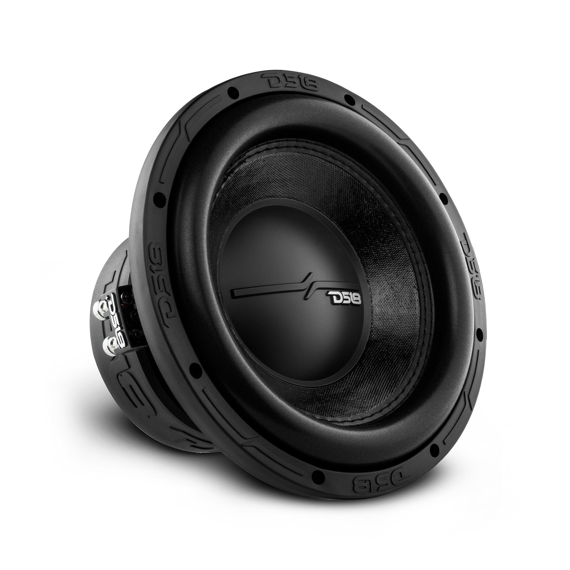 DS18 ZR 10" Subwoofer 700 Watts Rms DVC 2-Ohm
