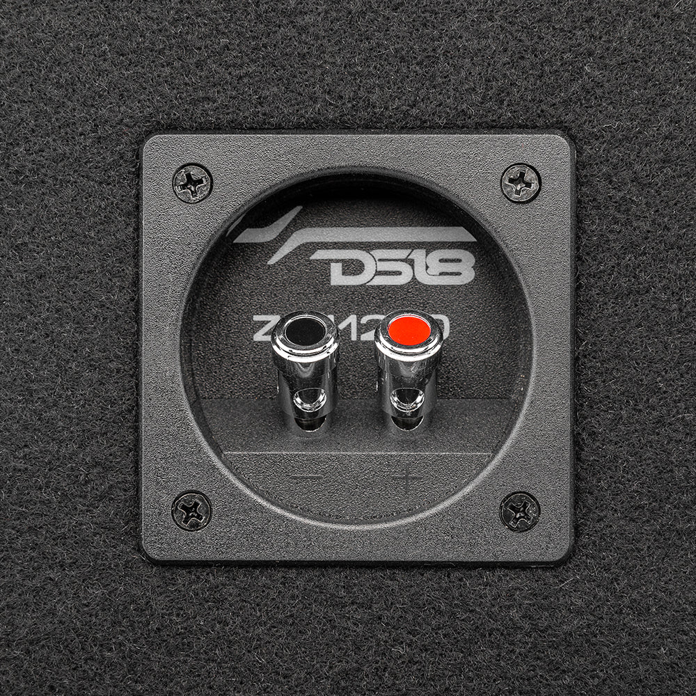 DS18 12" Loaded Subwoofer Ported Enclosure With ZR12.2D 800 Watts Rms
