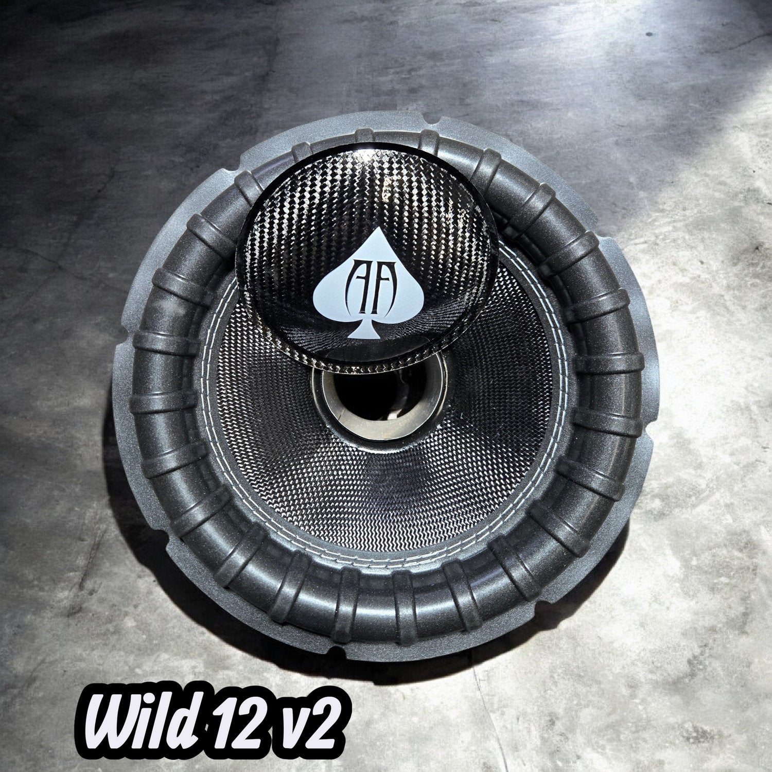 Audio Ace Wild 12 v2 Dual 4-Ohm Subwoofer Recone Kit