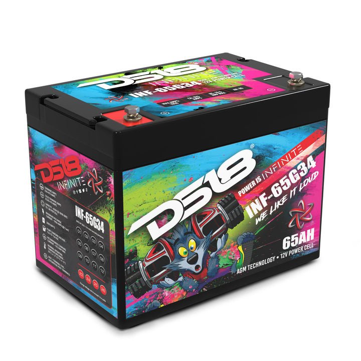 DS18 INFINITE 65 AH AGM Group 34 Power Cell 12 Volt Battery
