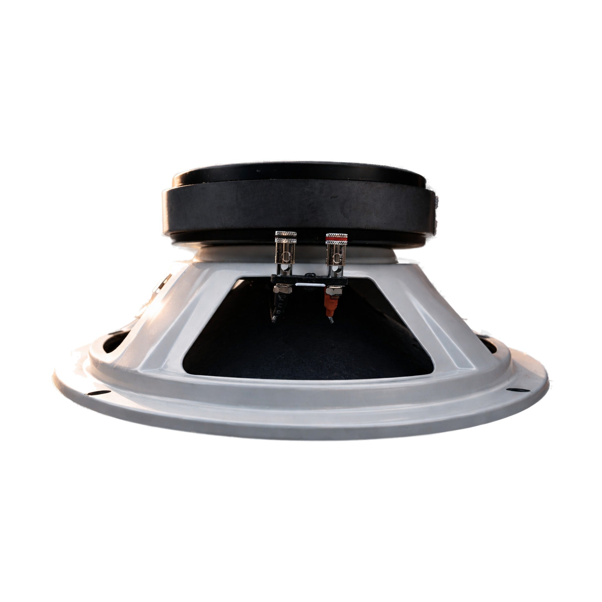 Resilient Sounds 10M Speaker 600W Max / 300W RMS