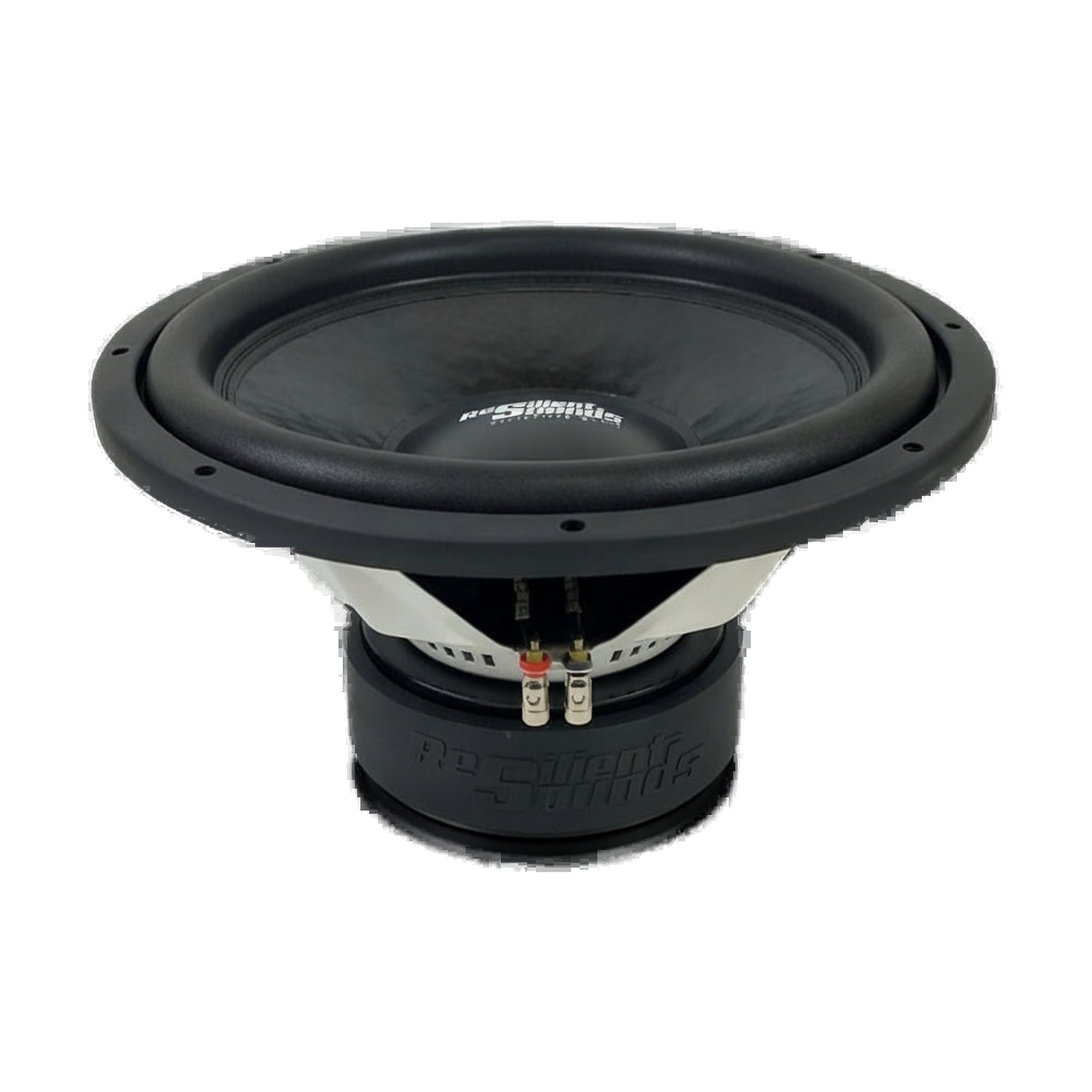 Resilient Sounds 15 V2 Entry Woofer Subwoofer 750W RMS