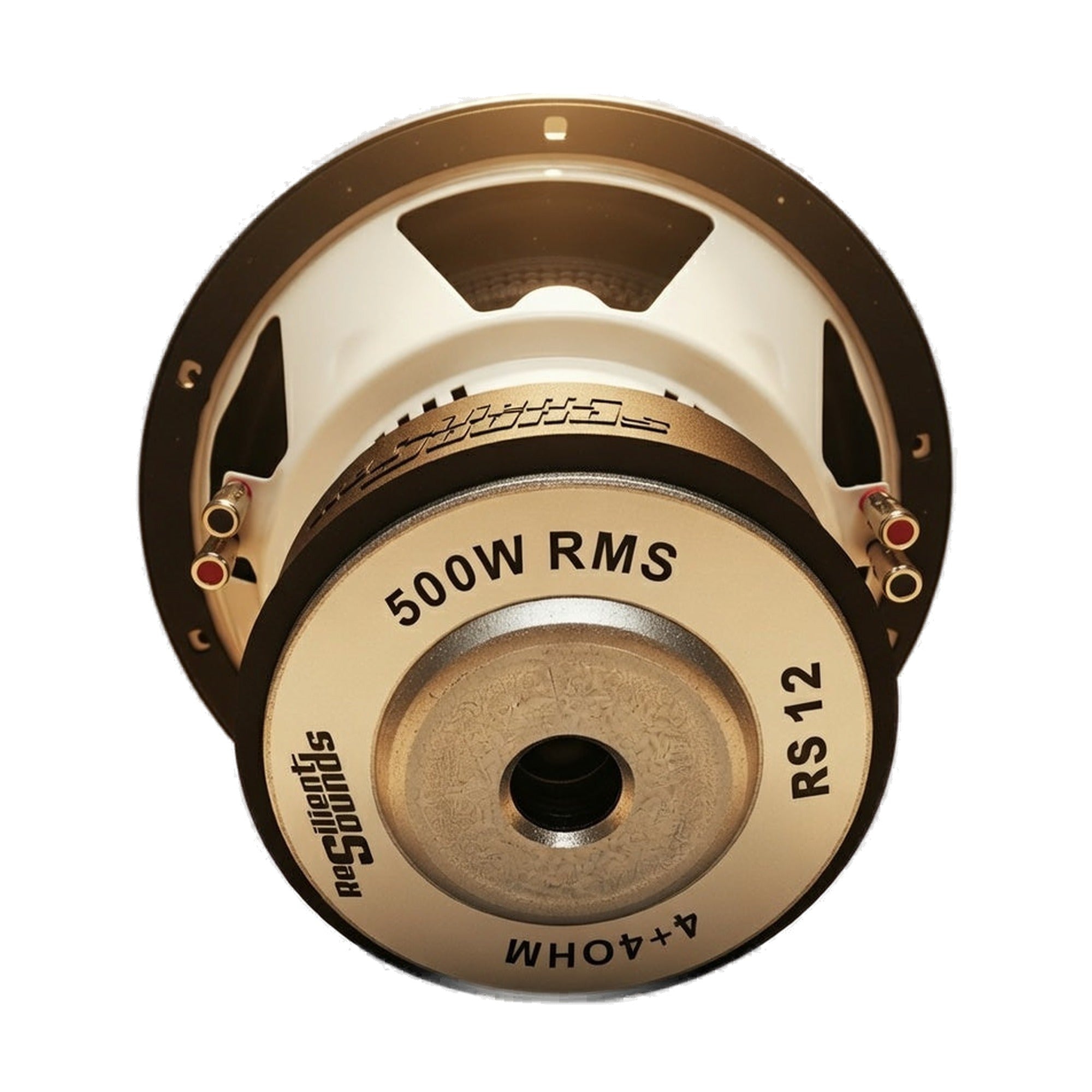 Resilient Sounds Entry 12" Subwoofer 500W RMS