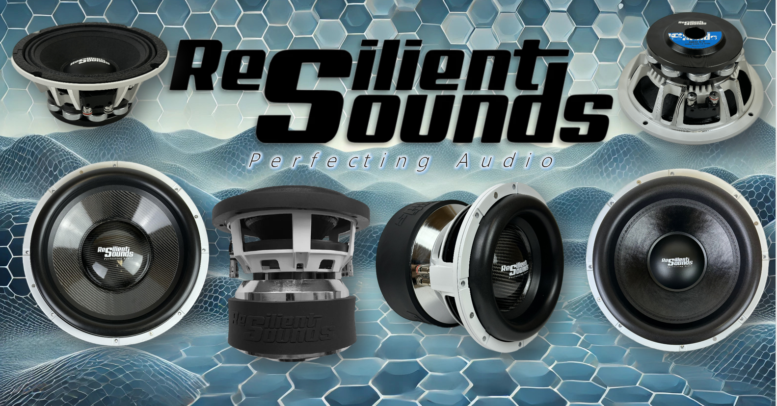Resilient Sounds V2 GOLD SERIES Subwoofer Recone Kit