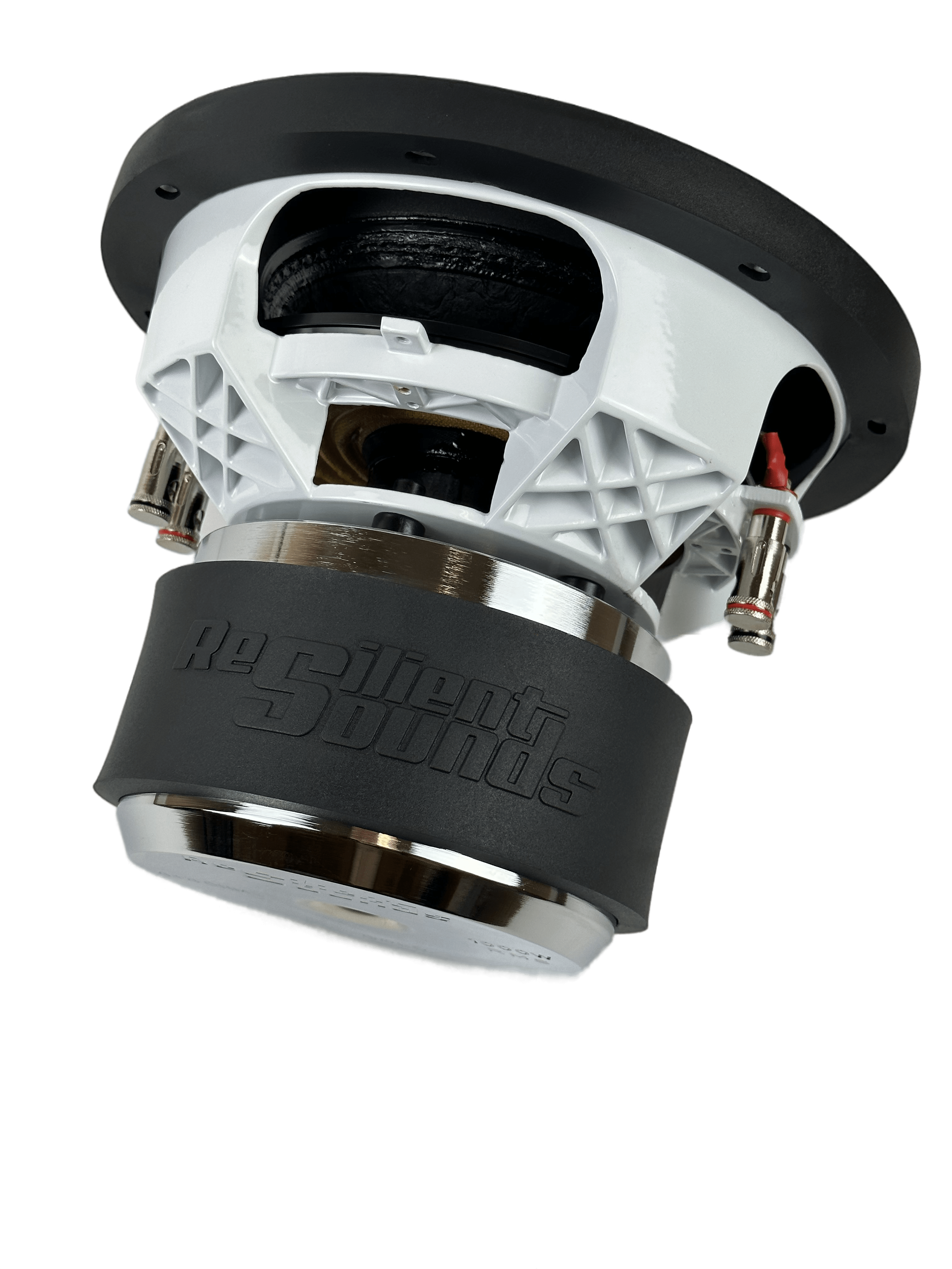 Resilient Sounds Gold 10" Subwoofer 1,000W RMS — image 8