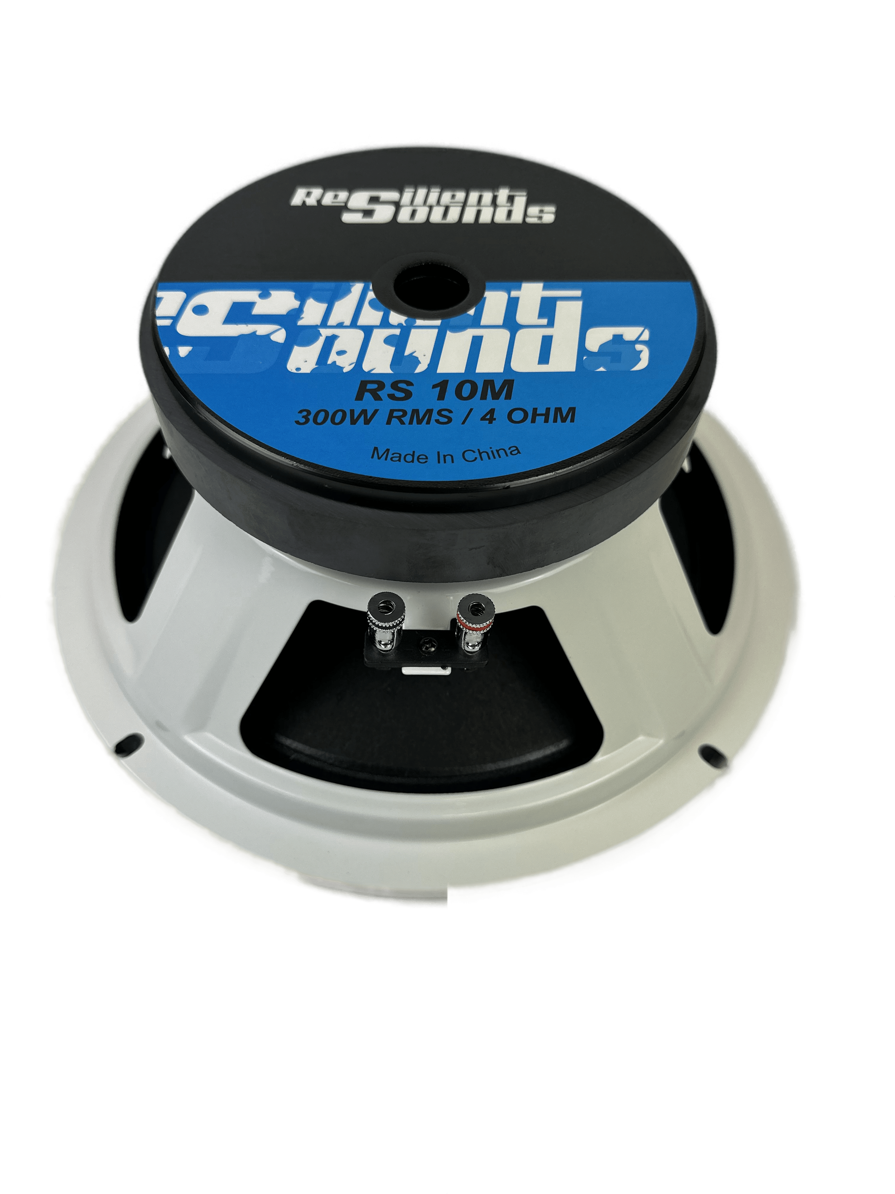 Resilient Sounds 10M Speaker 600W Max / 600W RMS — image 3