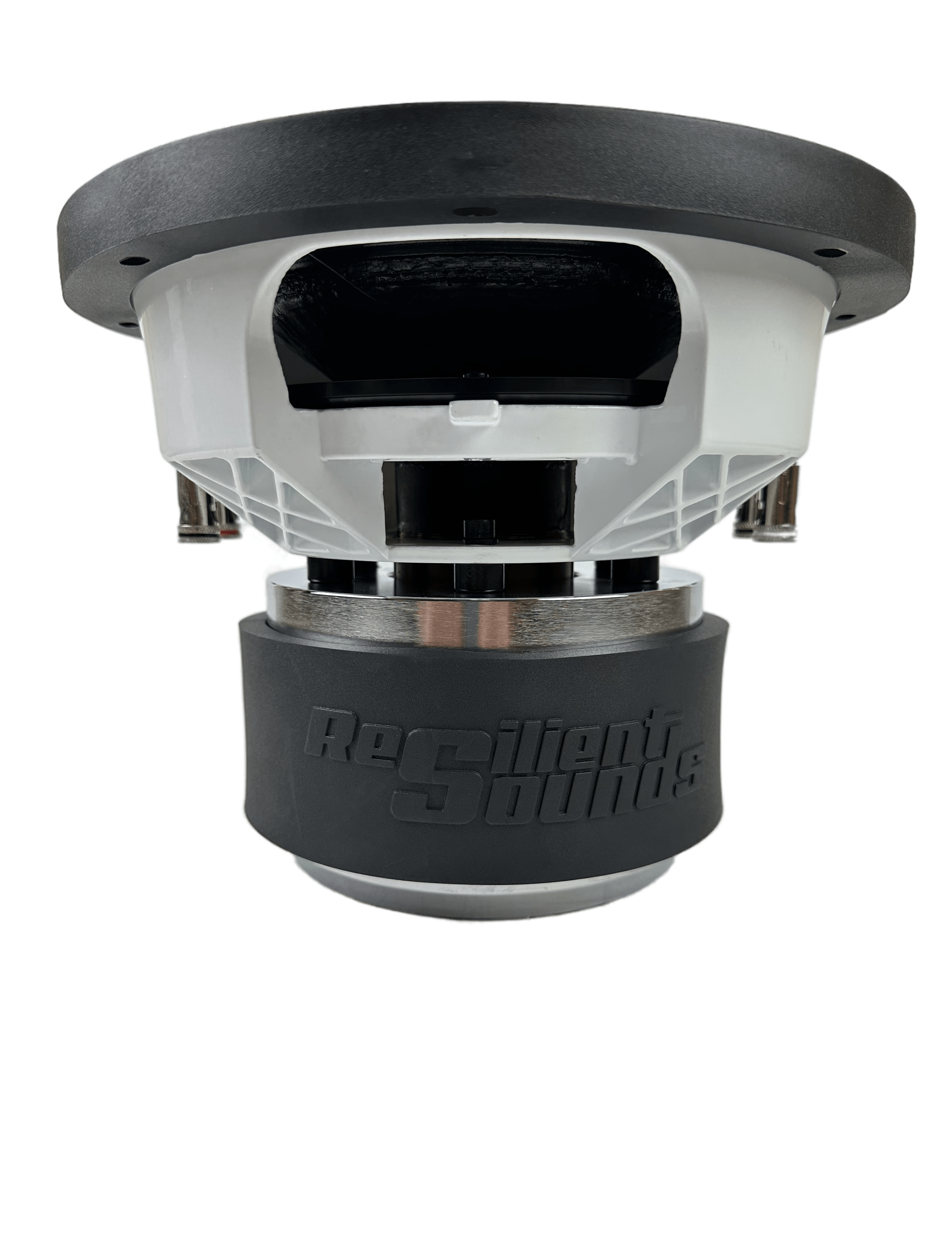 Resilient Sounds Gold 10" Subwoofer 1,000W RMS — image 9