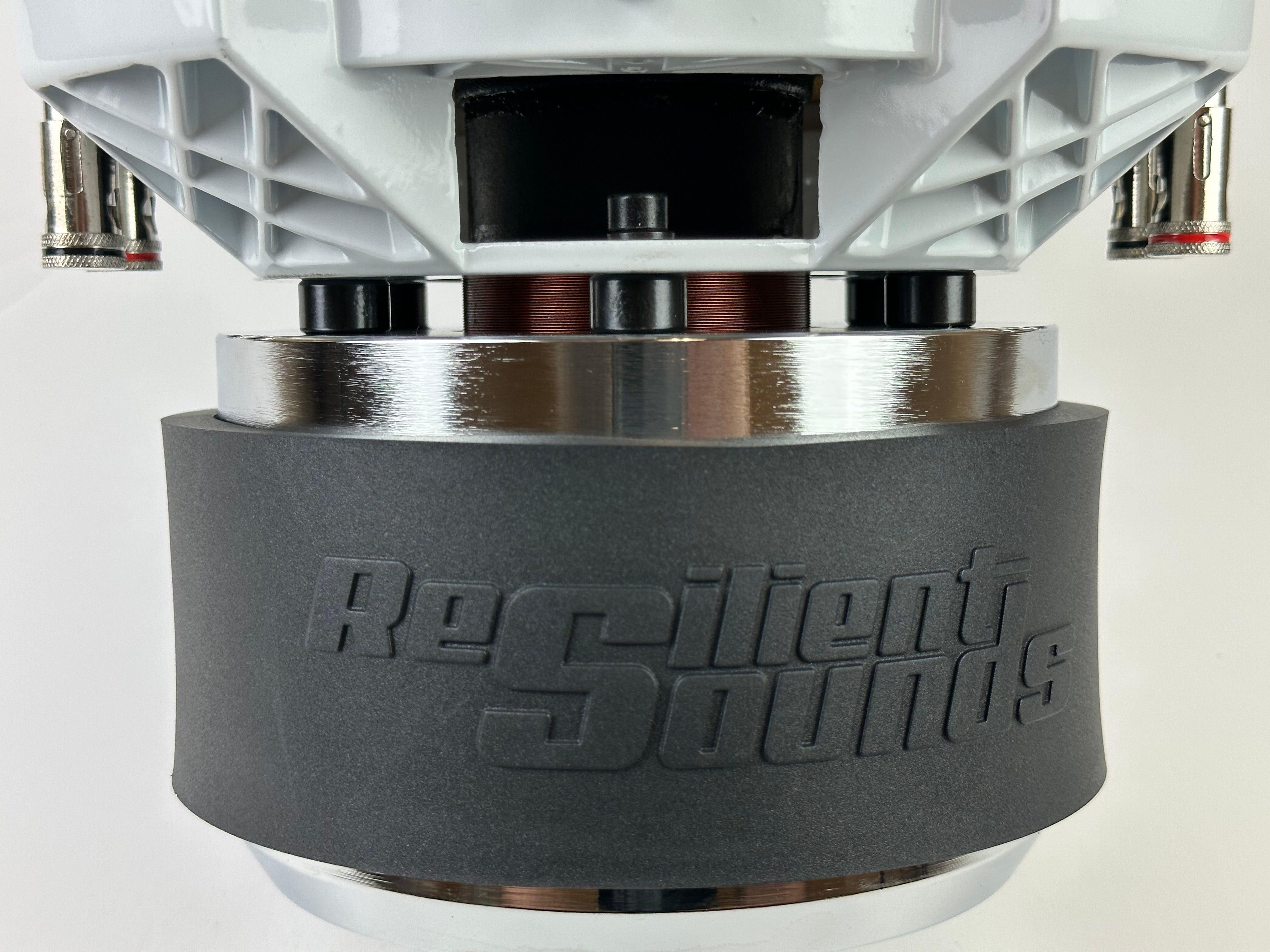 Resilient Sounds Gold 10" Subwoofer 1,000W RMS — image 3