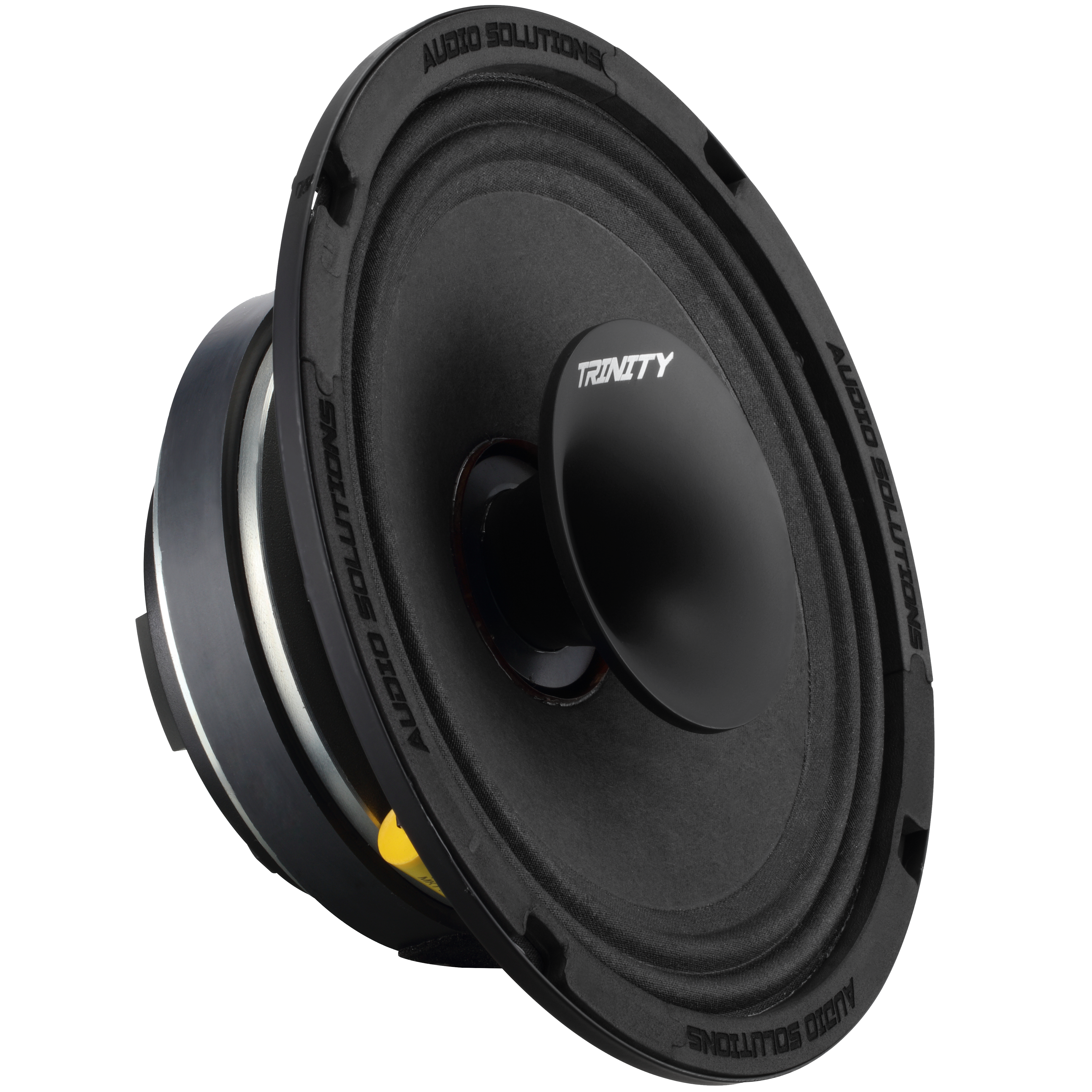 Trinity Audio Solutions CS84 8" Horn-Driven Pro Audio Coaxial Loudspeaker