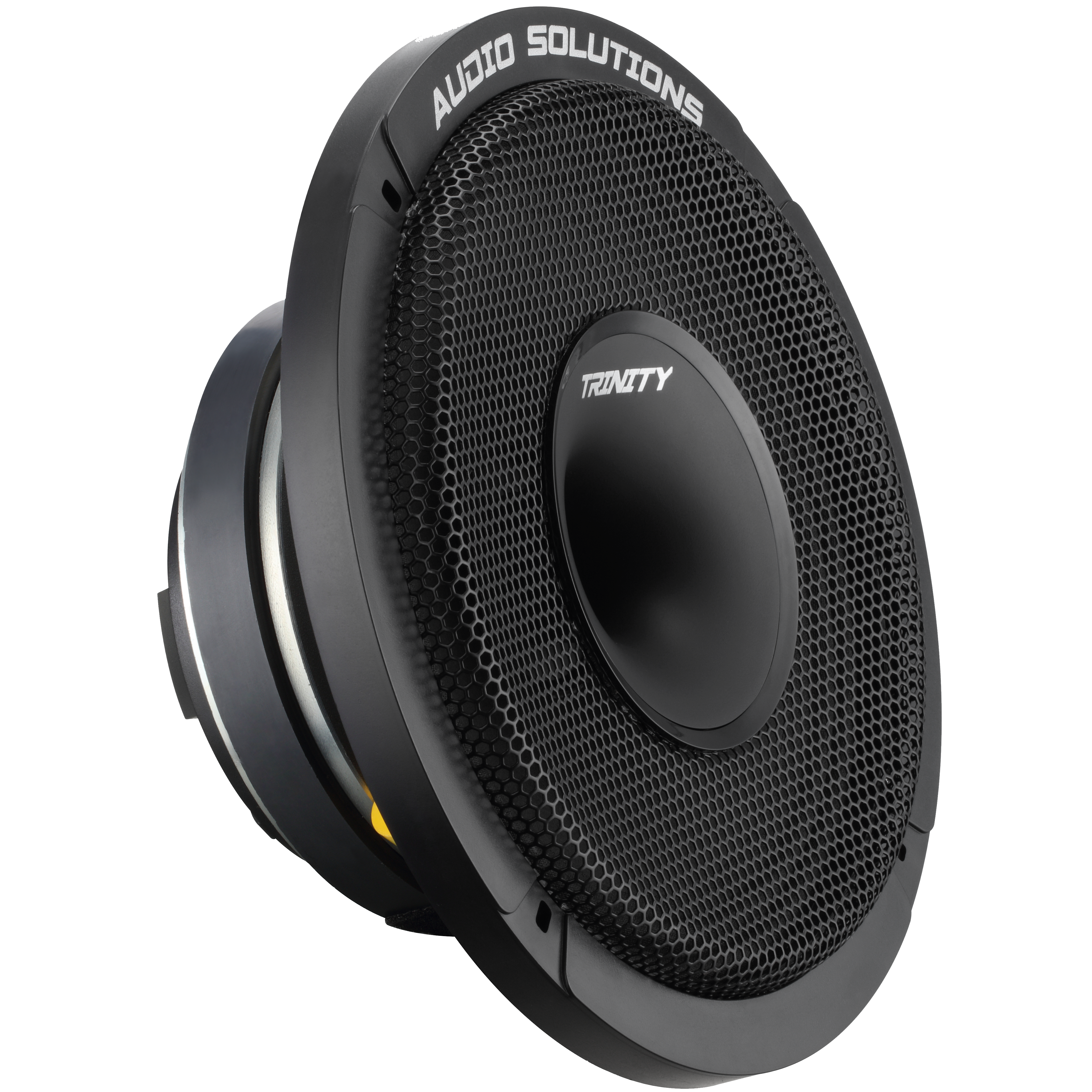 Trinity Audio Solutions CS84 8" Horn-Driven Pro Audio Coaxial Loudspeaker