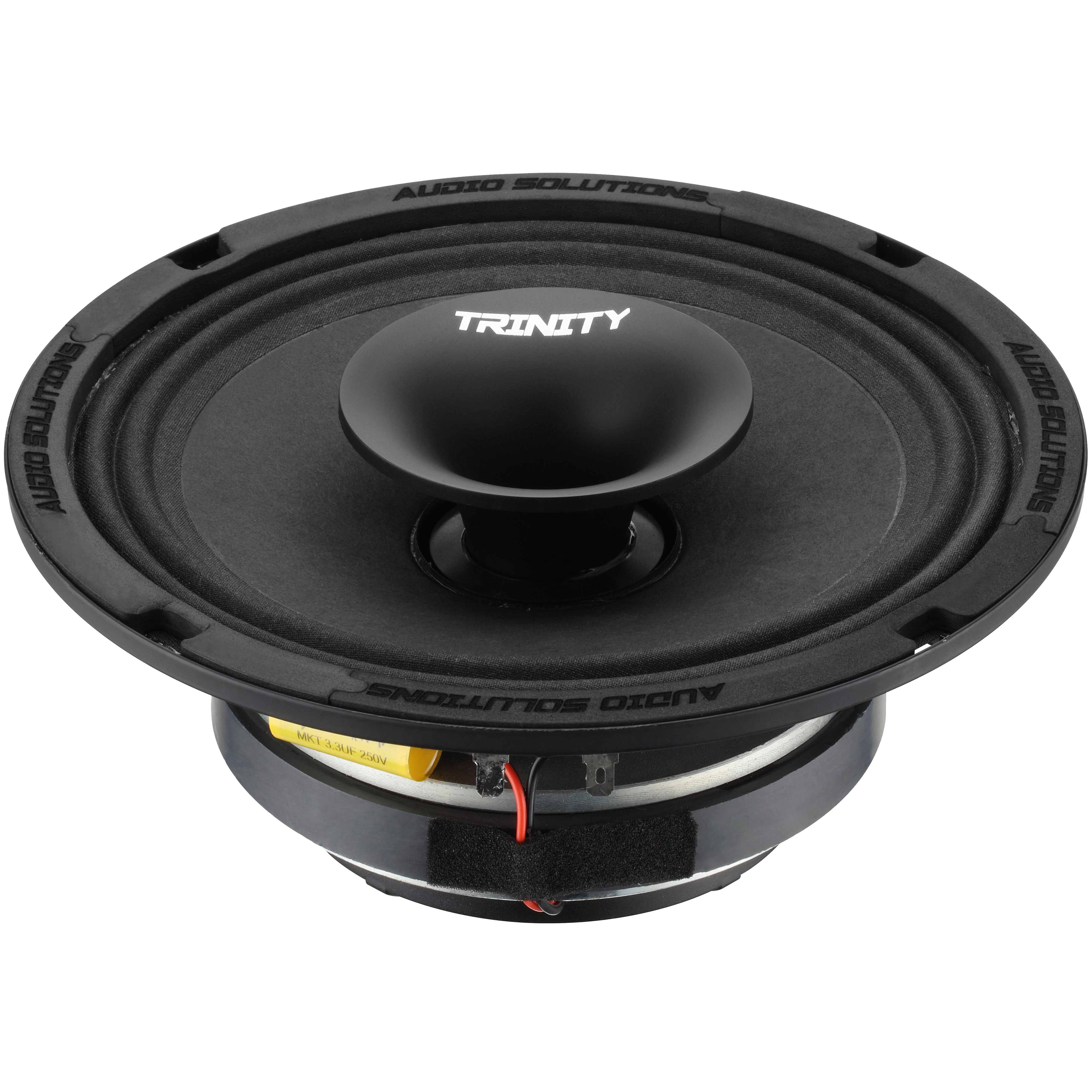 Trinity Audio Solutions CS84 8" Horn-Driven Pro Audio Coaxial Loudspeaker