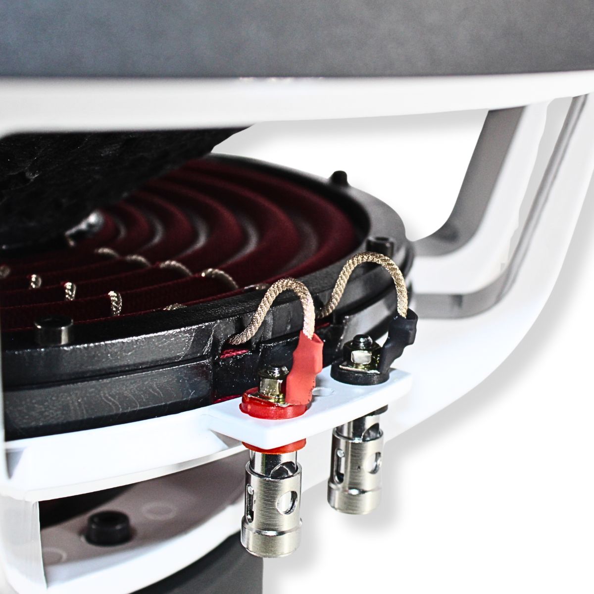 B2 Audio RIOT15 V3 15" Subwoofer 750W RMS Dual 2 Ohm — image 5
