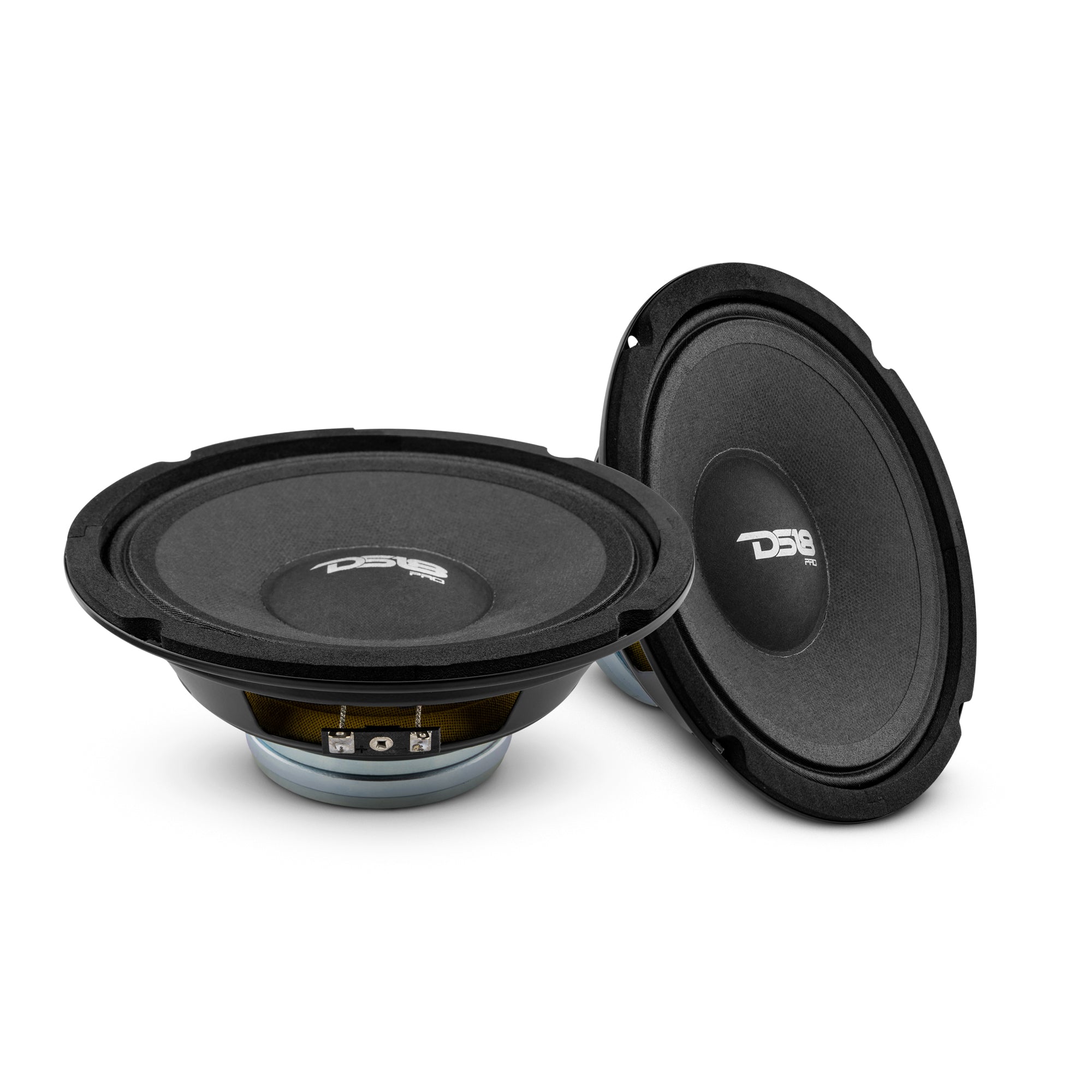 DS18 Stage2 Pro Audio Neo Midrange Package