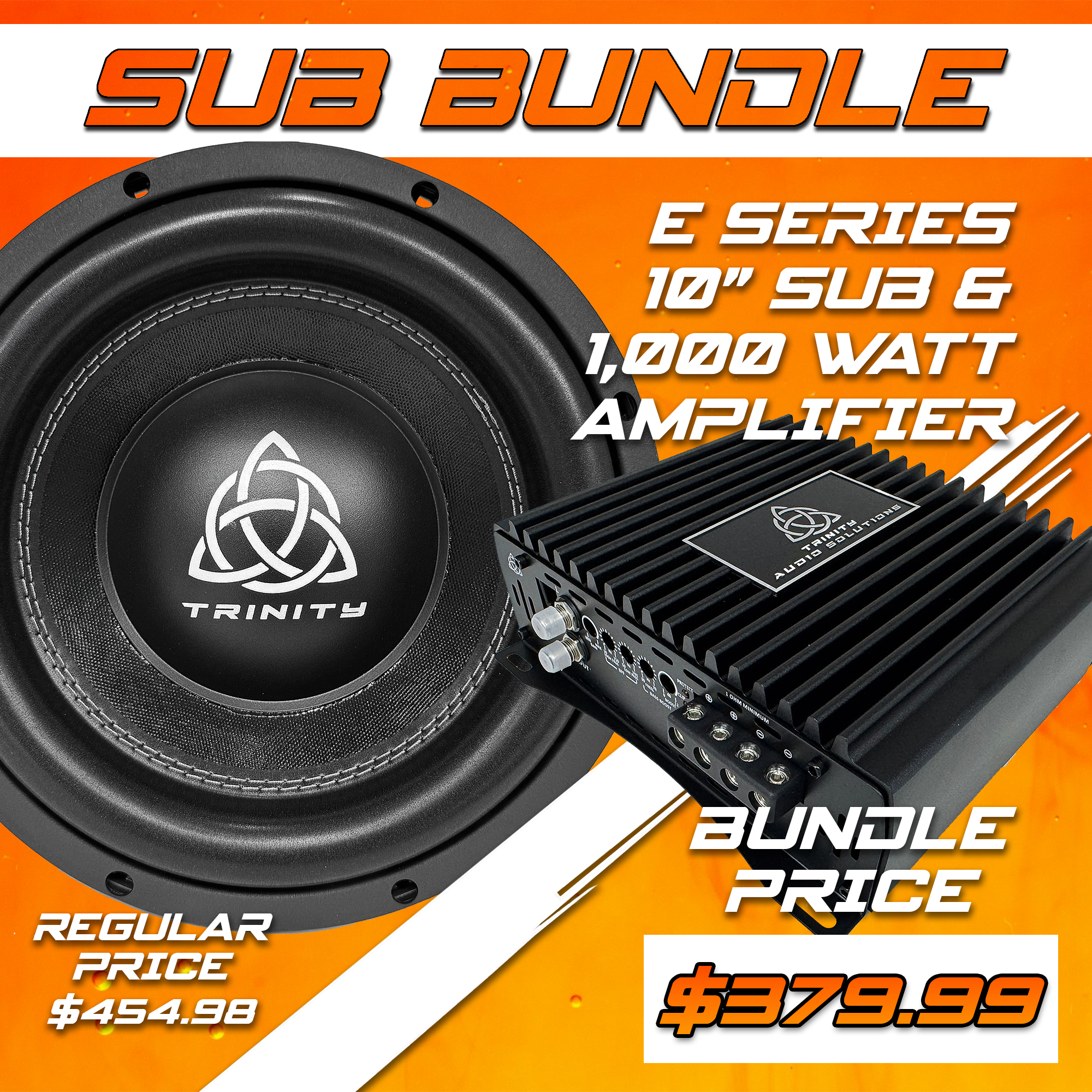 Trinity Audio Solutions E Series 10" Subwoofer & 1000.1v2 Monoblock Amplifier Package — 1,000W