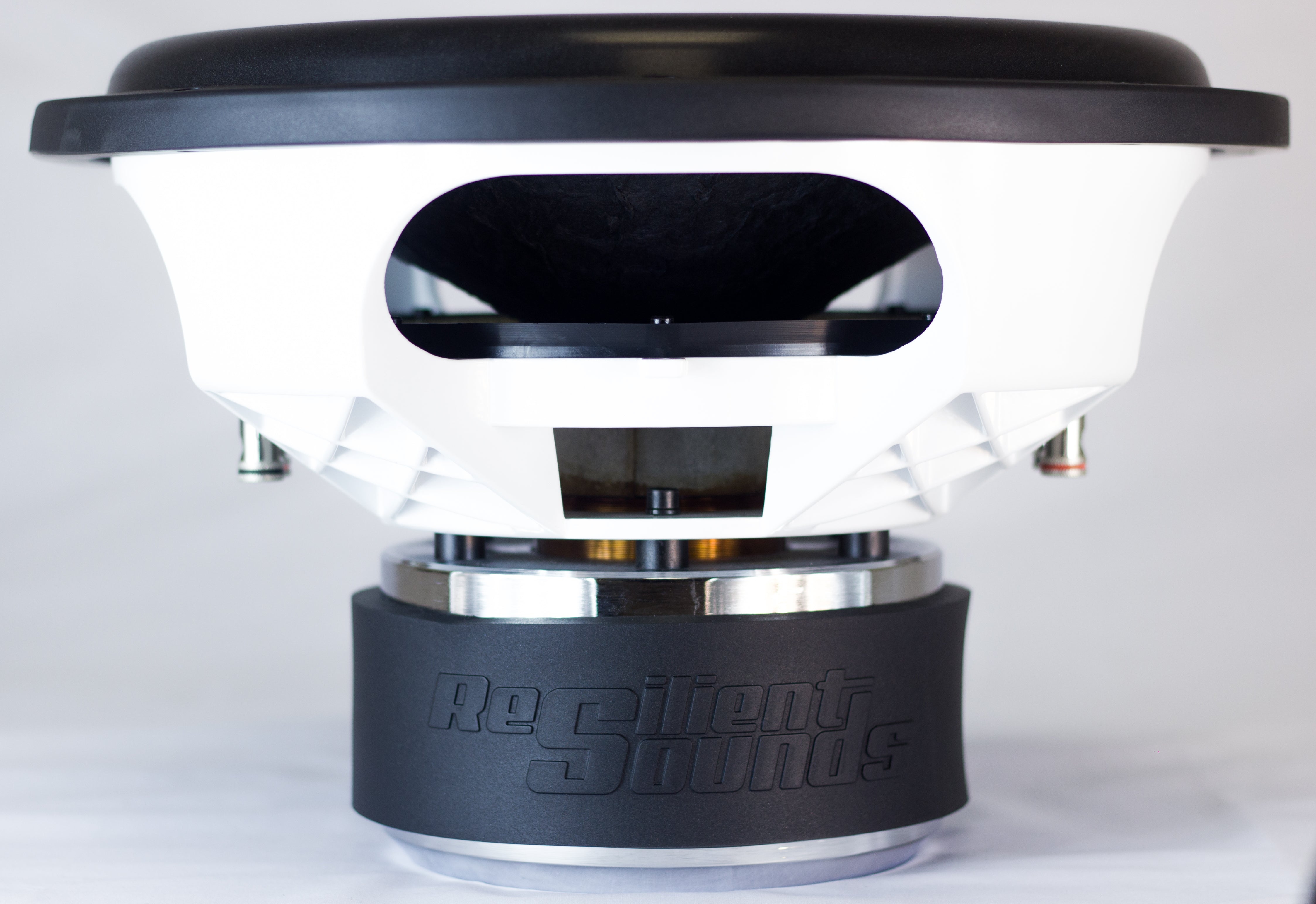 Resilient Sounds Gold 15" Subwoofer 1,000W RMS — image 2