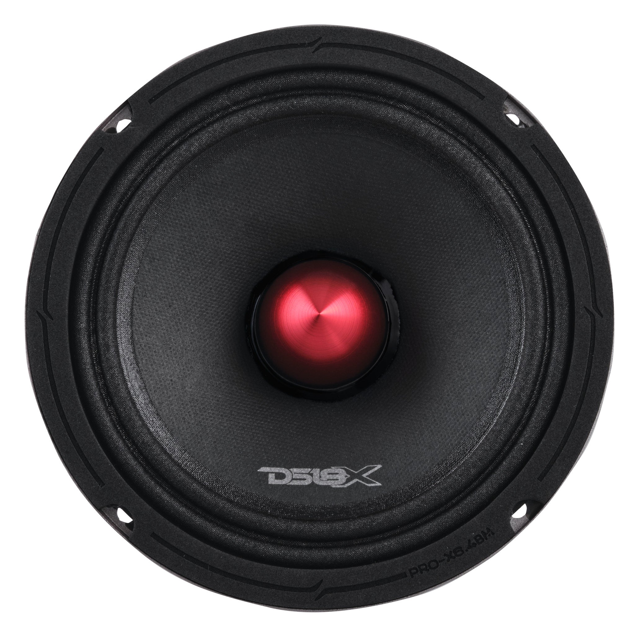 DS18 Stage2 Pro Audio Midrange Package