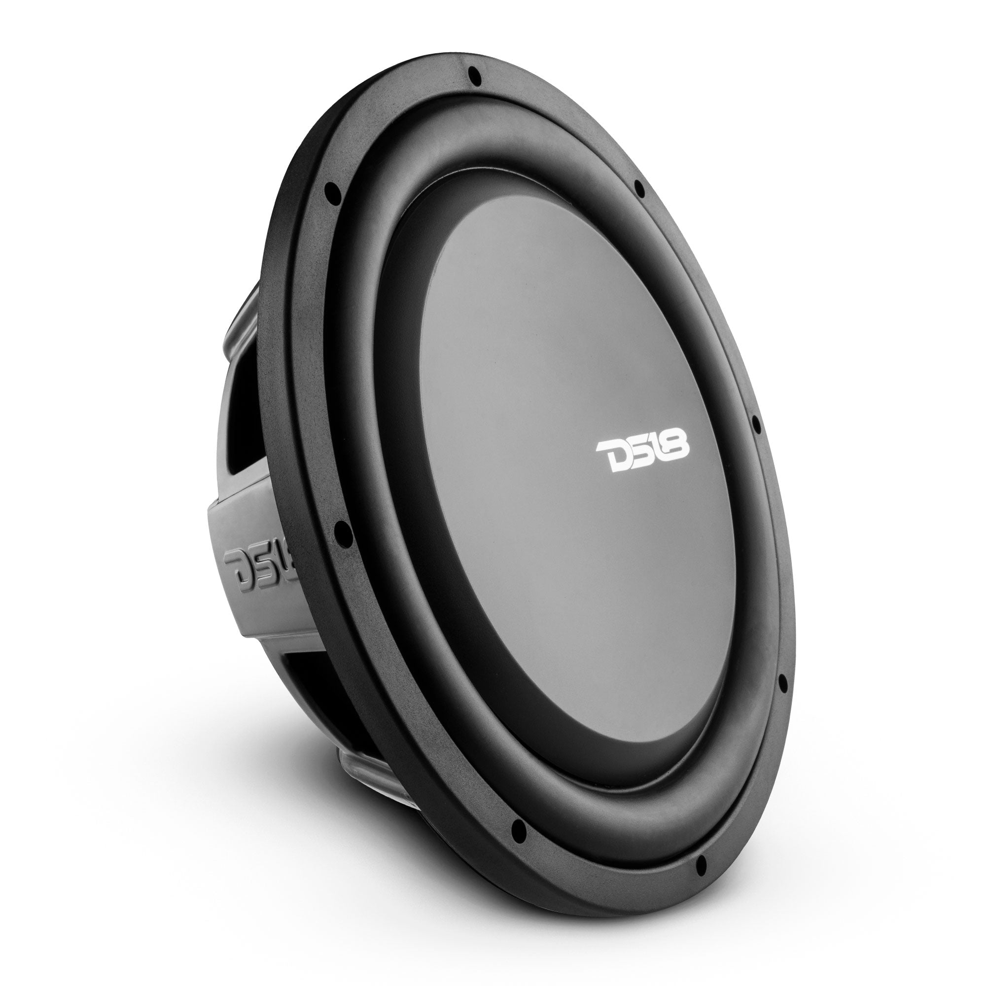 DS18 PS Shallow-Mount Water Resistant 12" Subwoofer | 600W RMS DVC 4-Ohm