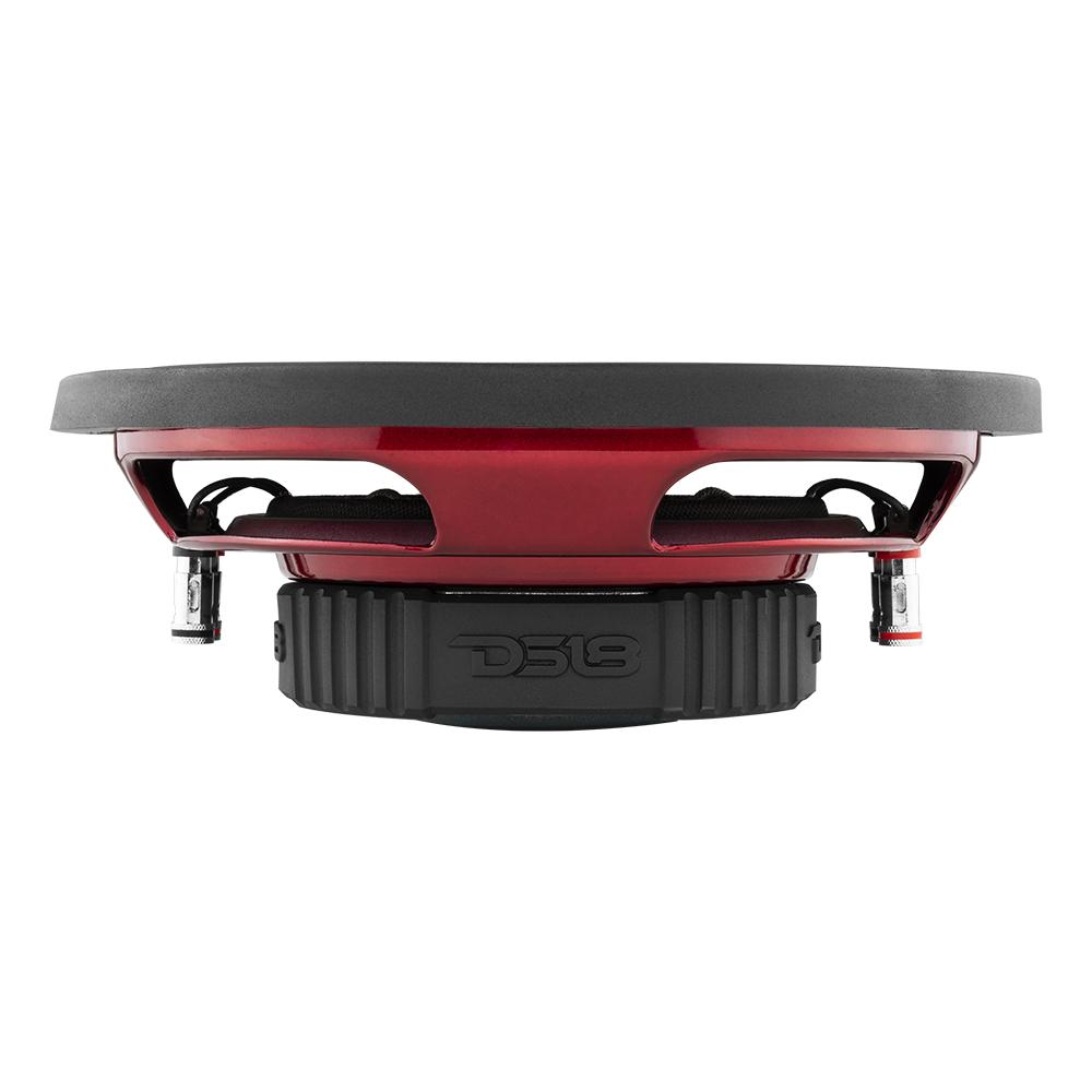 DS18 SRW Shallow-Mount 10" Subwoofer 200 Watts Rms DVC 4-Ohm