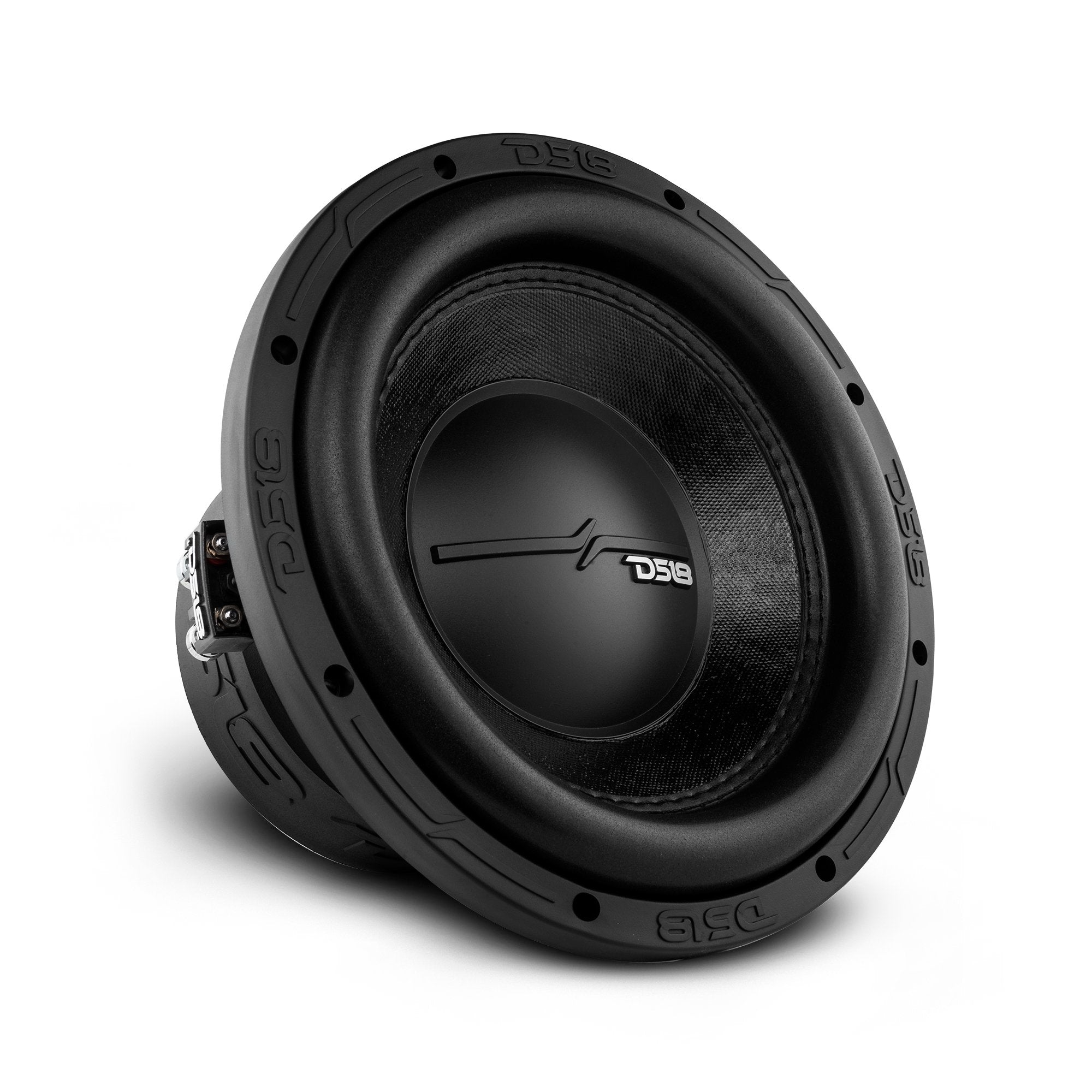 DS18 2019-2024 Chevy Silverado and GMC Sierra Loaded Dual 10" Subwoofer Enclosure System