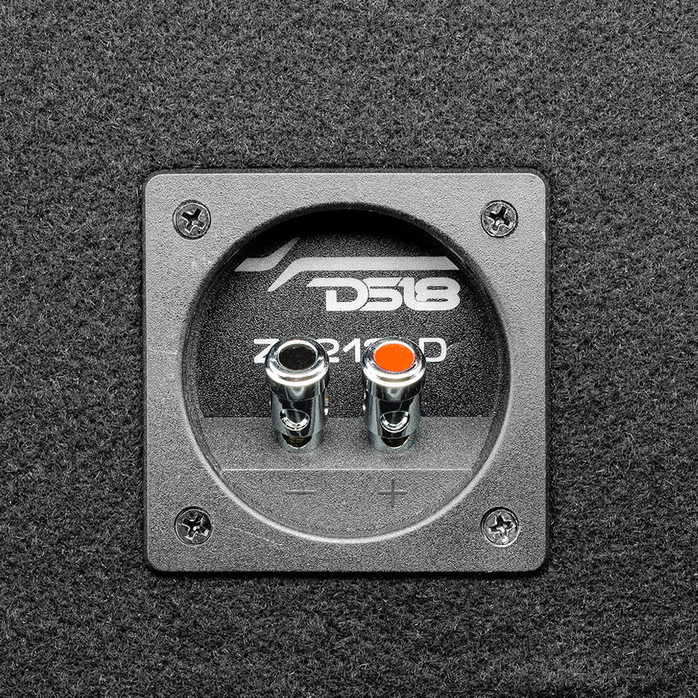 DS18 Dual 12" Loaded Subwoofer Ported Enclosure With ZR12.2 1600 Watts Rms