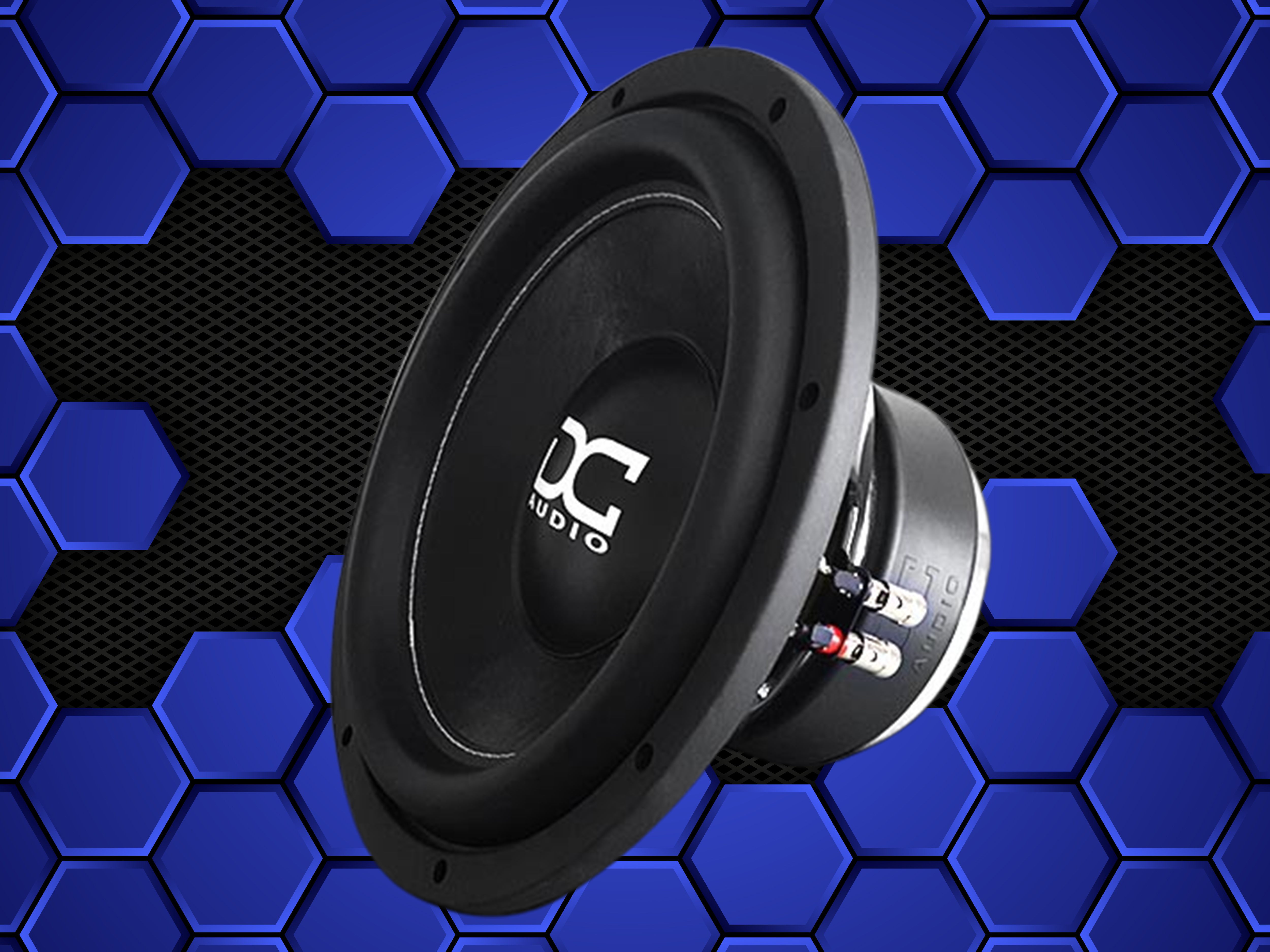 DC Audio Level 1 Subwoofer 300W RMS