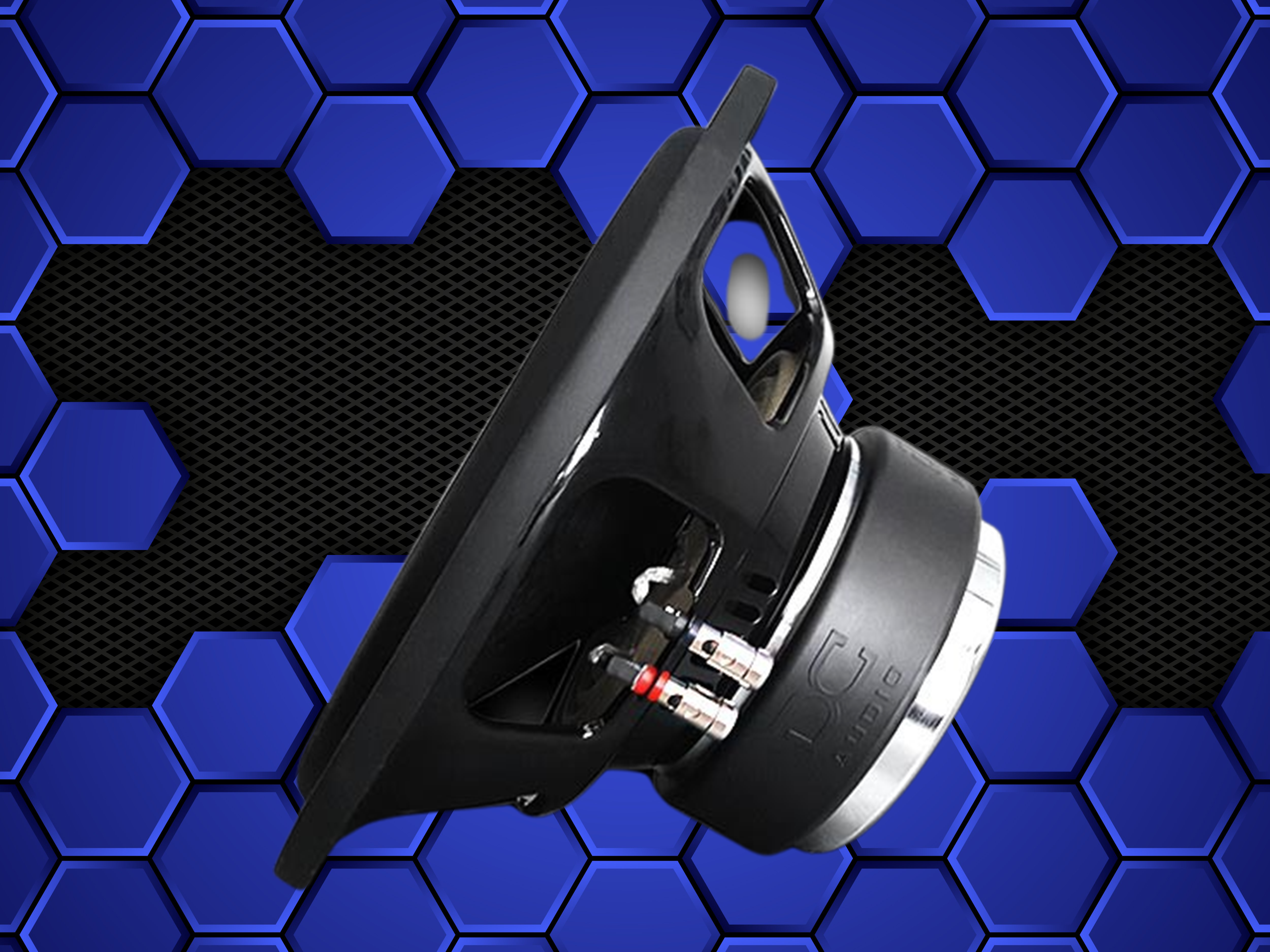 DC Audio Level 1 Subwoofer 300W RMS