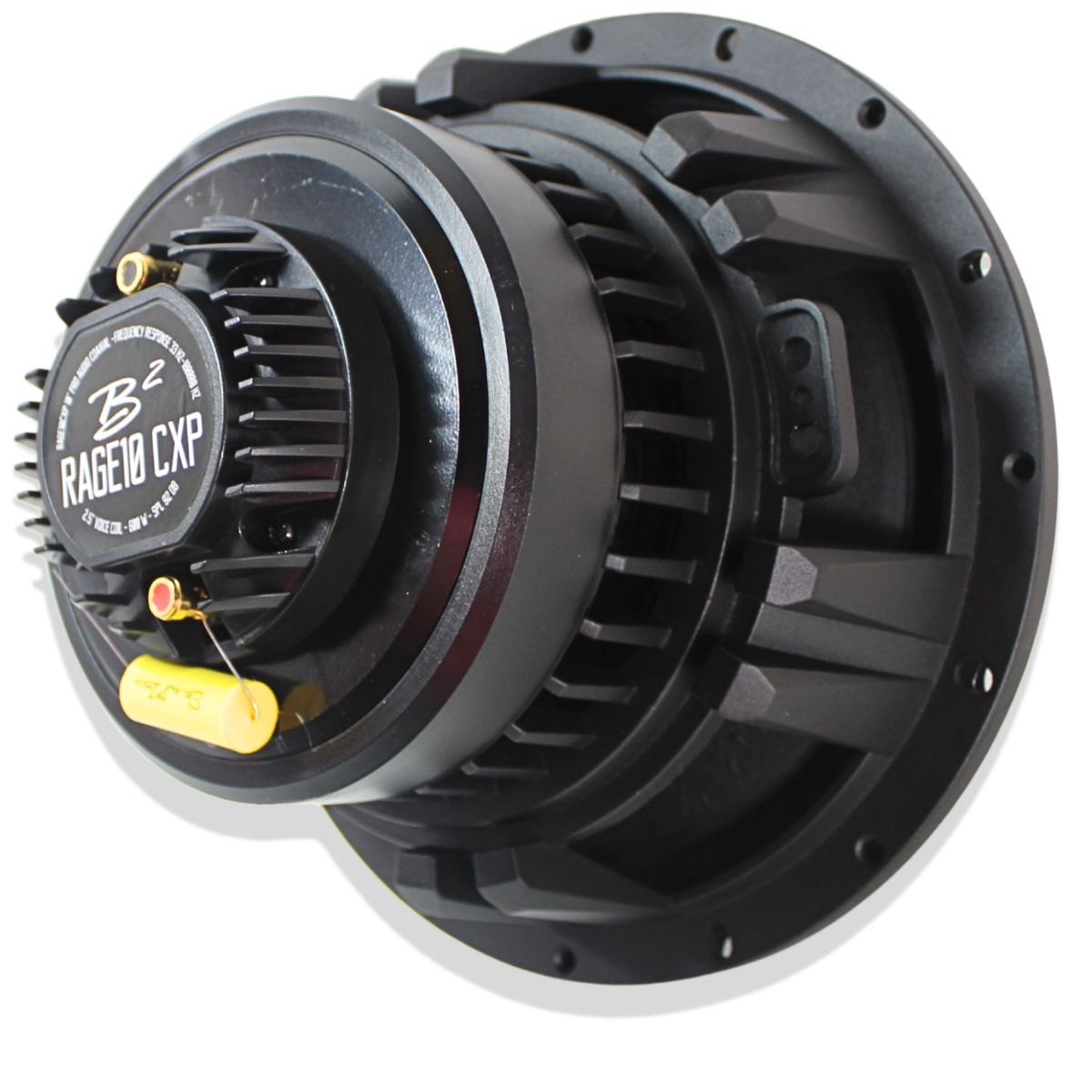 B2 Audio RAGE10CXP 10" Speaker 300W RMS 4 Ohm (Pair) — image 5