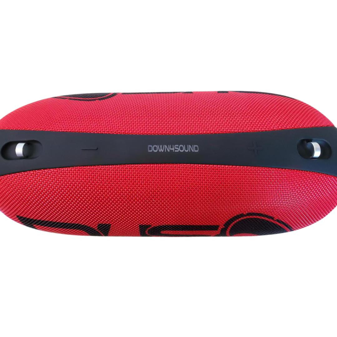 Down4Sound Bassbx G01 - 40 Watt Portable Bluetooth Speaker