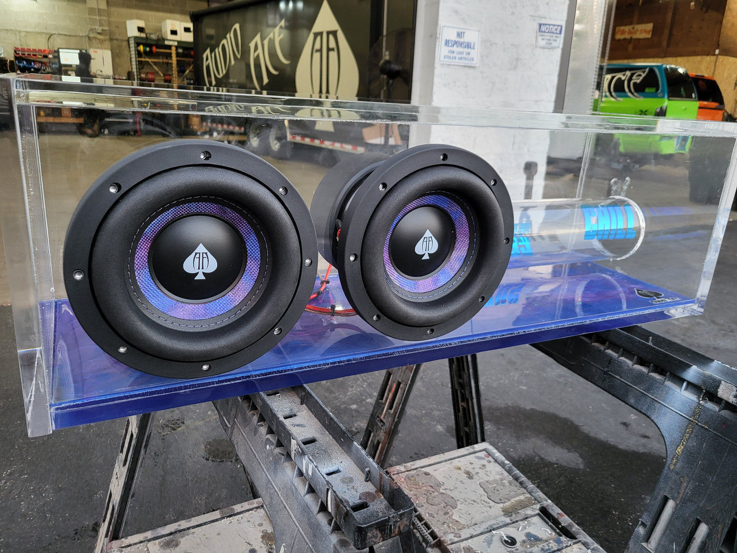 Audio Ace STR8 NST with Dyeable Cone D2