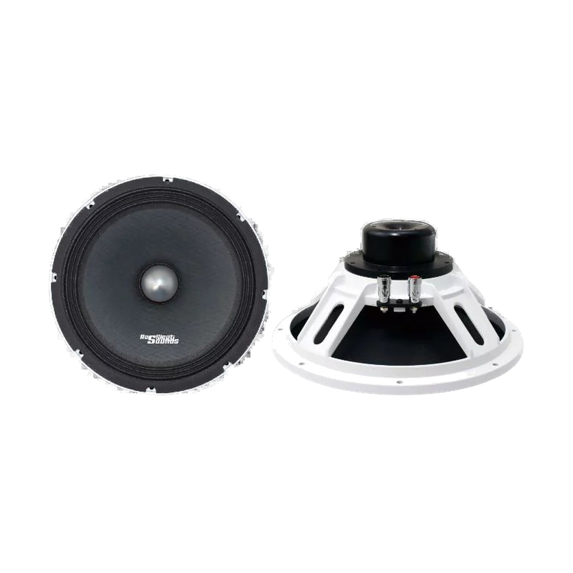 Resilient Sounds Neodymium 10" Midrange V1 Pro Audio Speaker 500W Max / 250W RMS