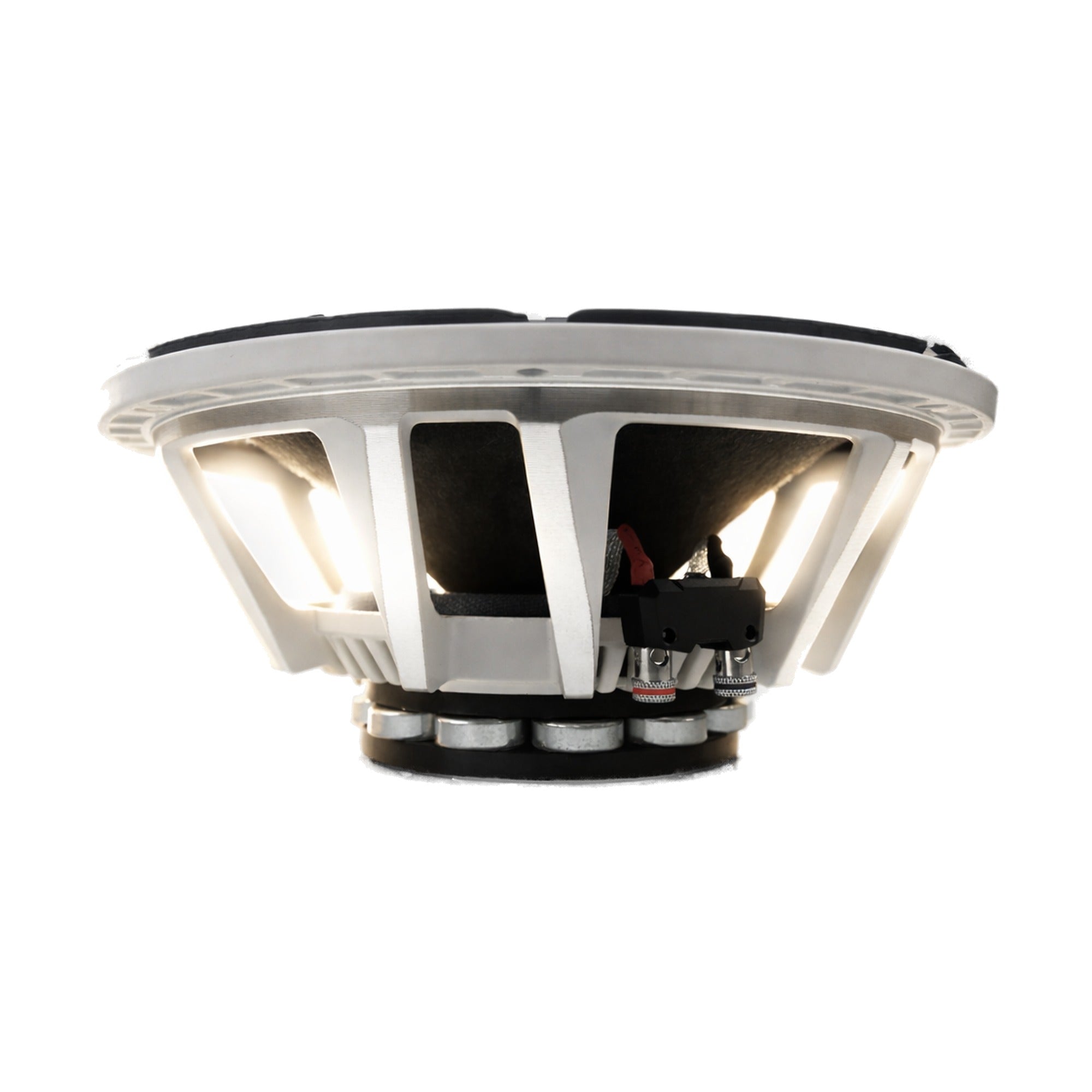 Resilient Sounds NEO 10" Pro Audio Speaker 1,000W Max / 500W RMS