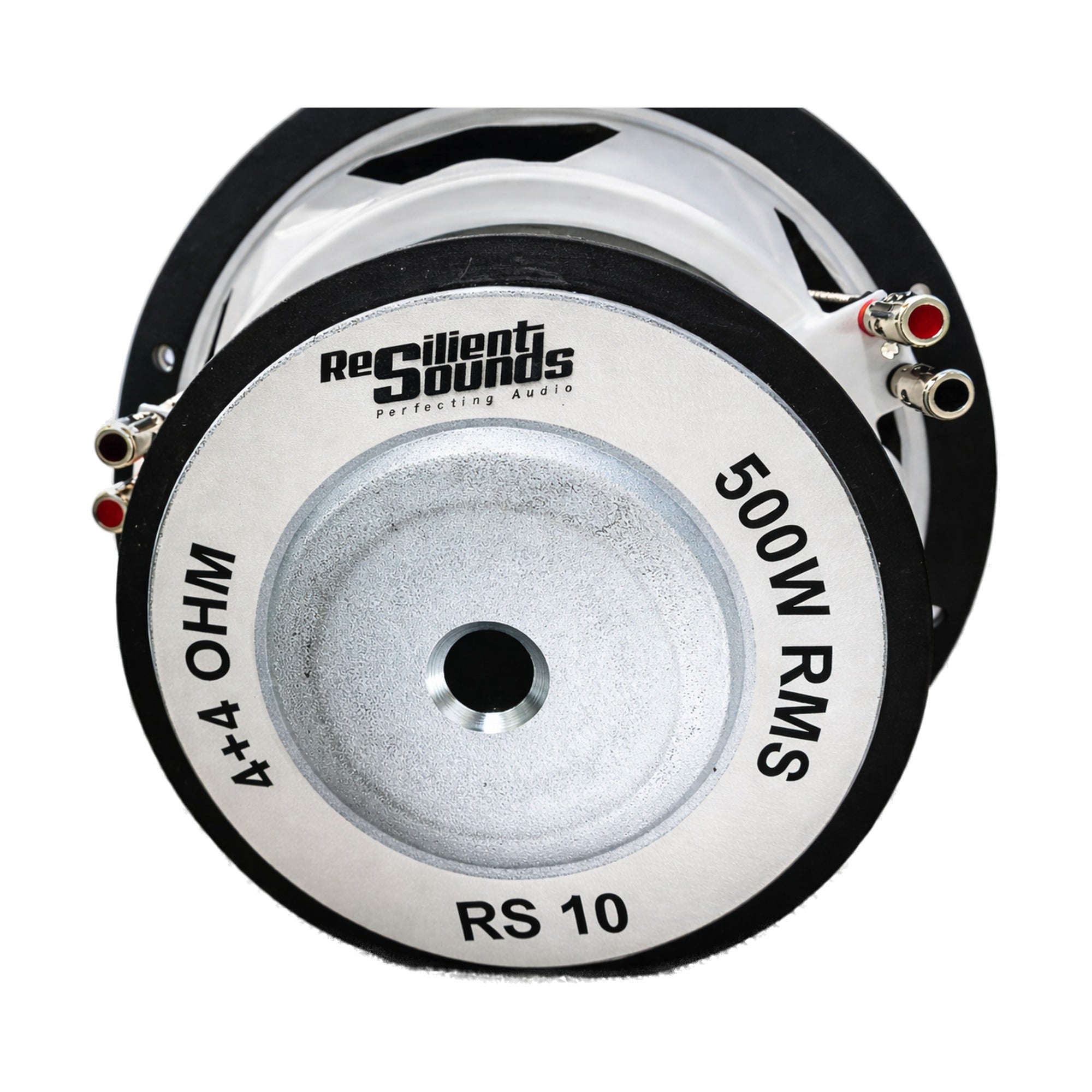 Resilient Sounds Entry 10" Subwoofer 500W RMS
